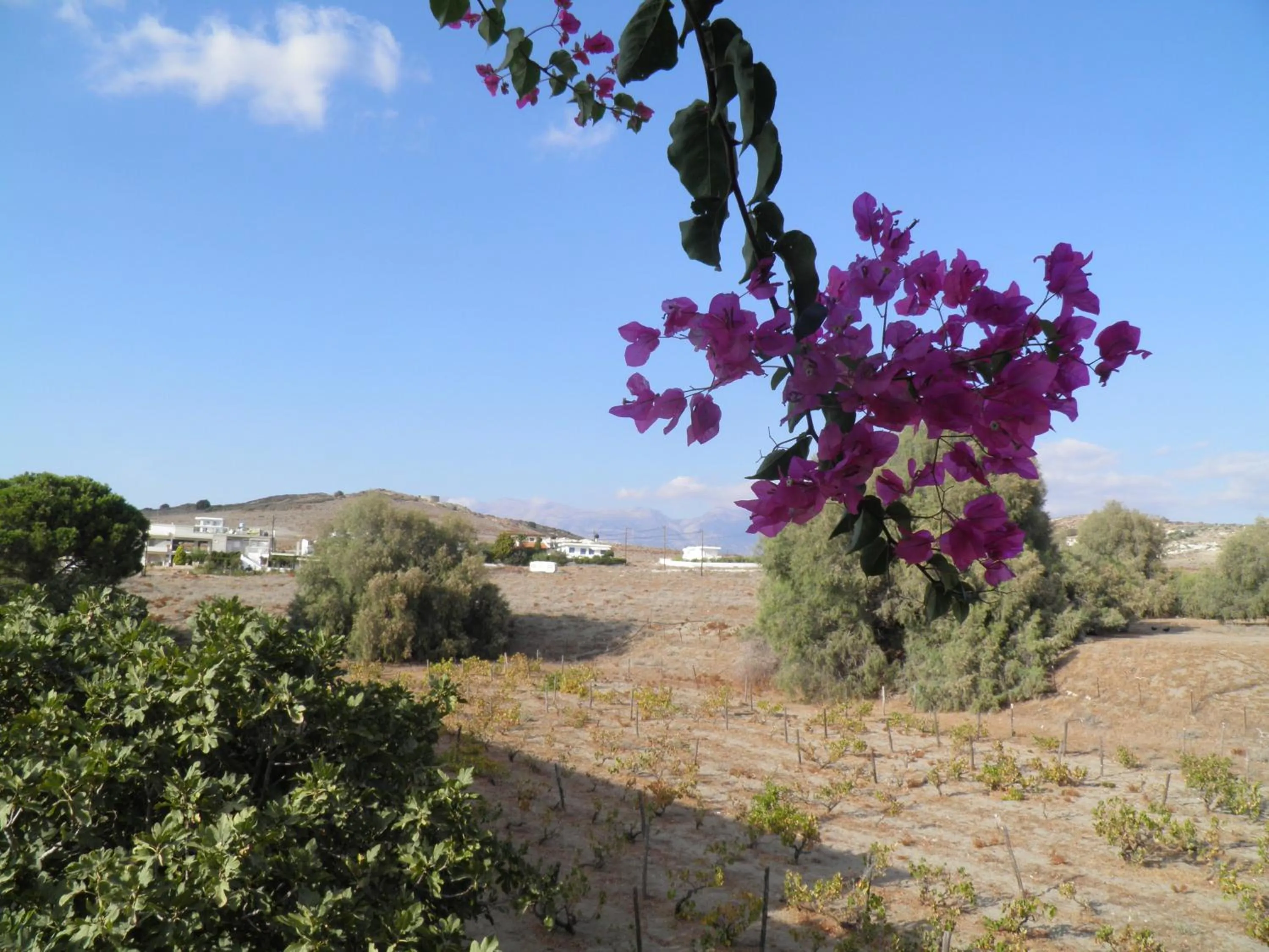 Mountain view in Galaxias Studios