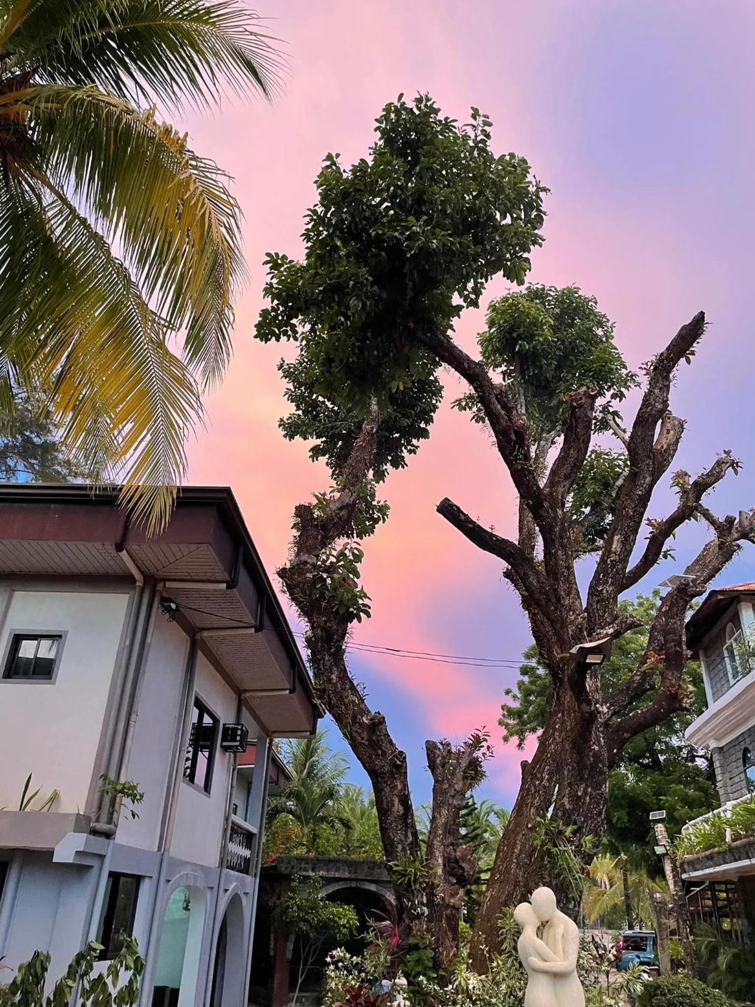 Sunbloom Beachfront Hotel and Restaurant Zambales
