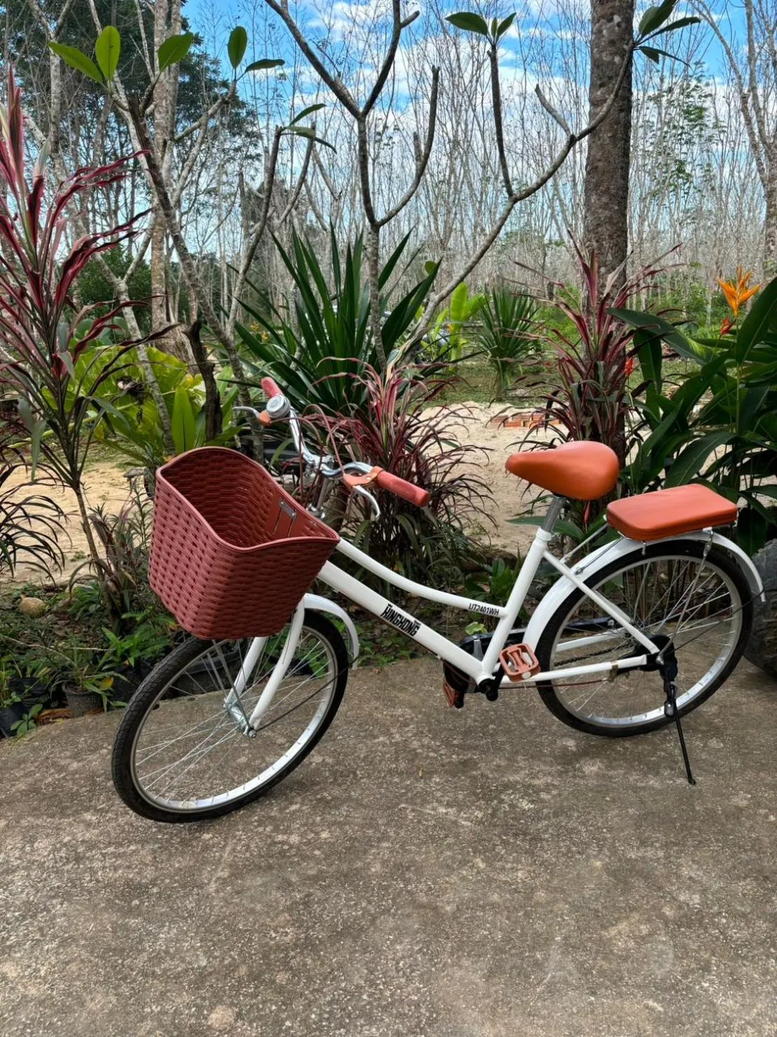 Cycling in Baansuan Suksangob Farm Stay