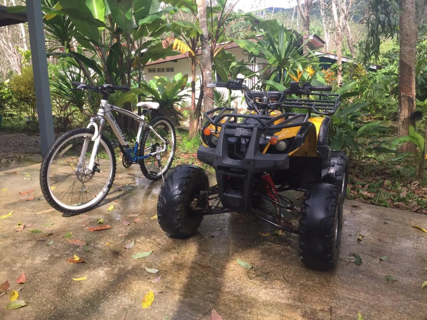 Cycling in Baansuan Suksangob Farm Stay