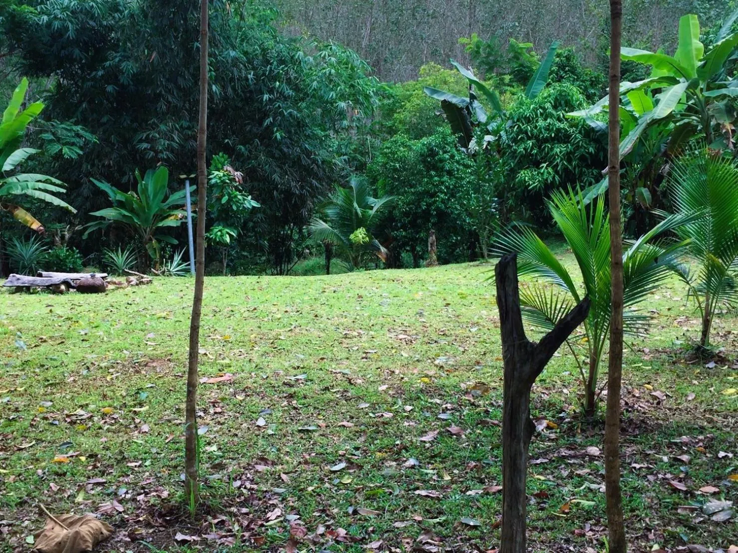 Garden view in Baansuan Suksangob Farm Stay