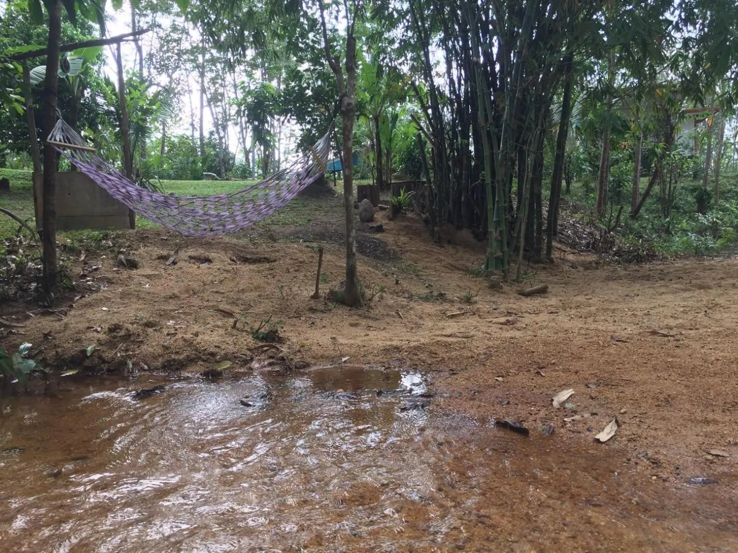 Garden view in Baansuan Suksangob Farm Stay
