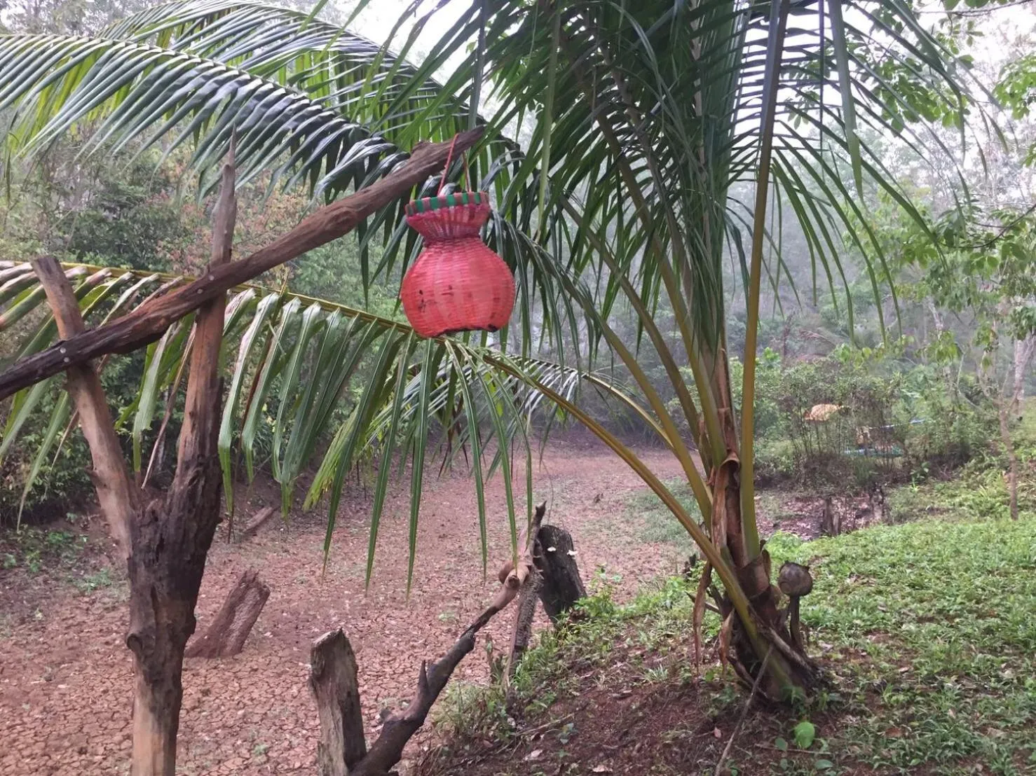 Open Air Bath in Baansuan Suksangob Farm Stay