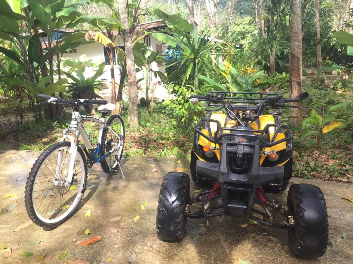 Dining area in Baansuan Suksangob Farm Stay