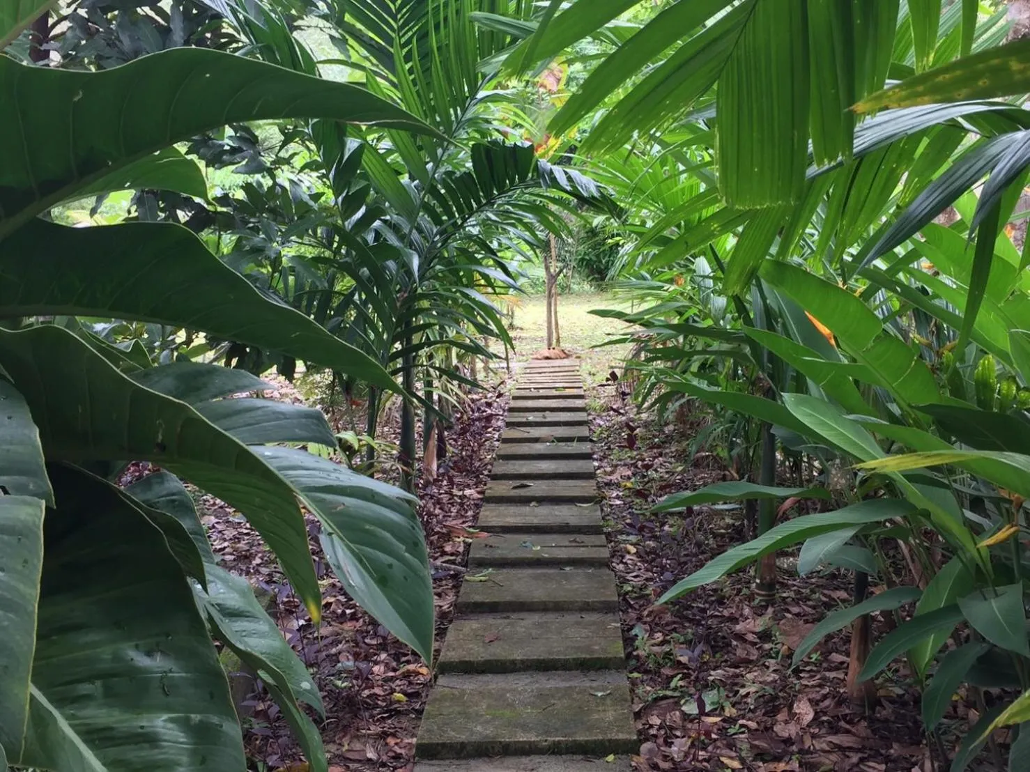 Garden view in Baansuan Suksangob Farm Stay
