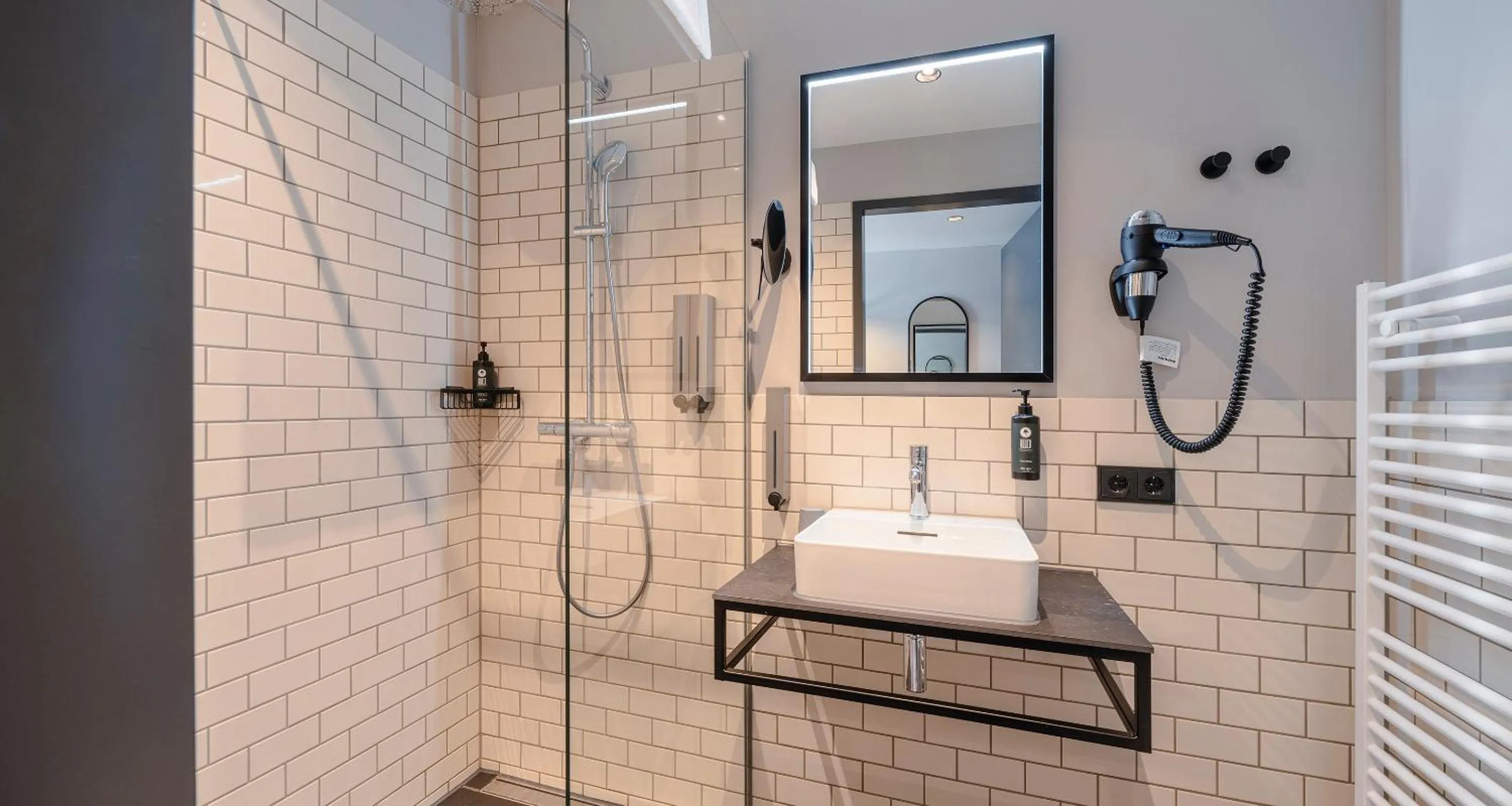 Shower in PLAZA INN Ulm