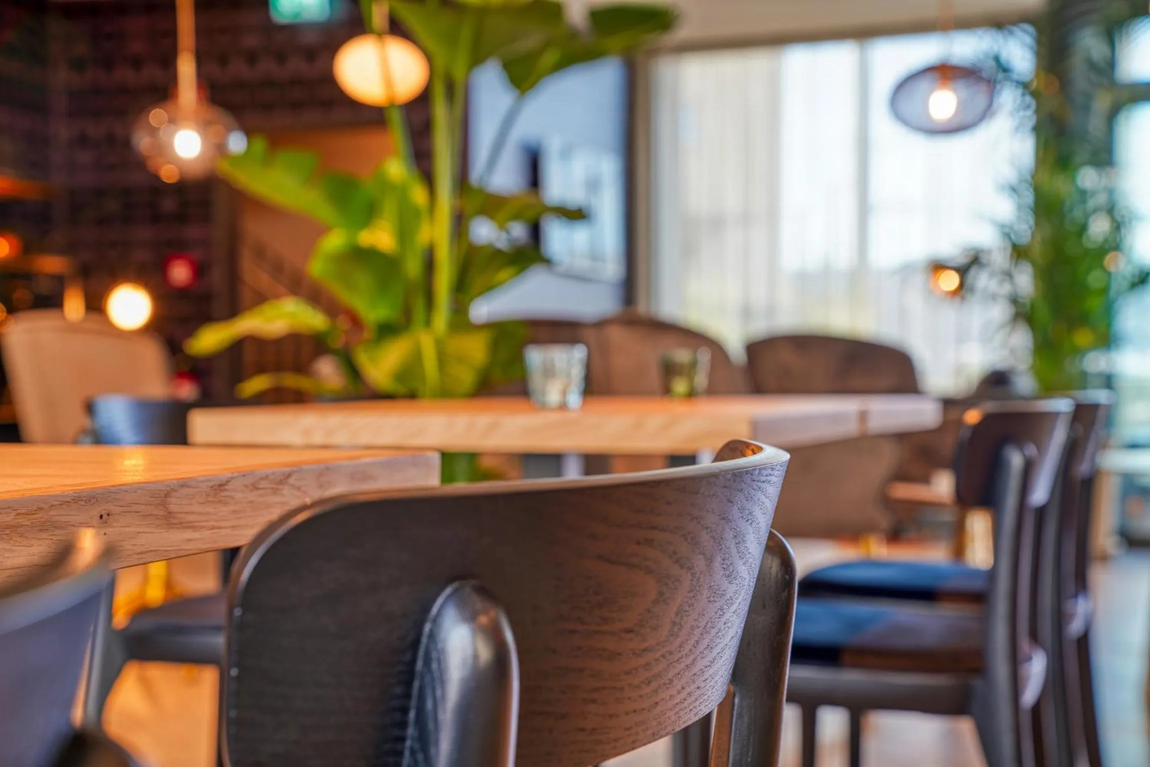 Lounge or bar in PLAZA INN Ulm