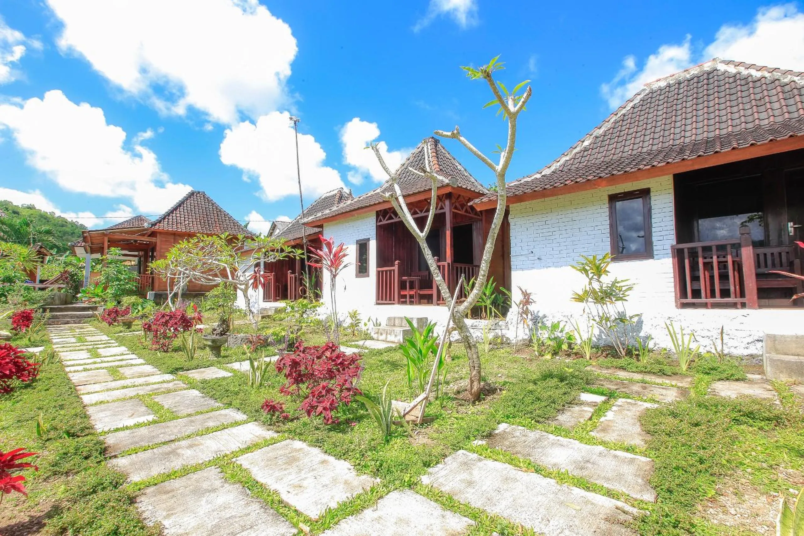 Garden in THE DARA HILL