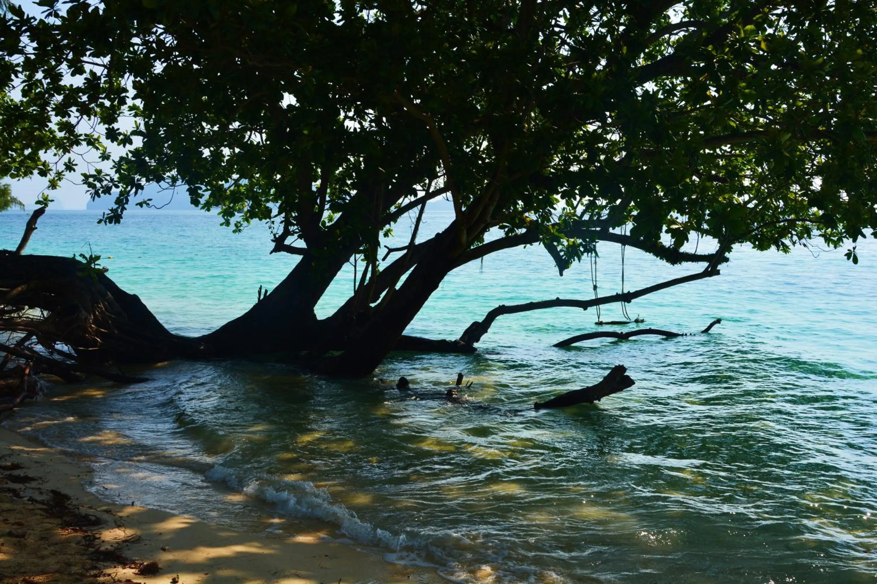Paradise Lost Bungalows
