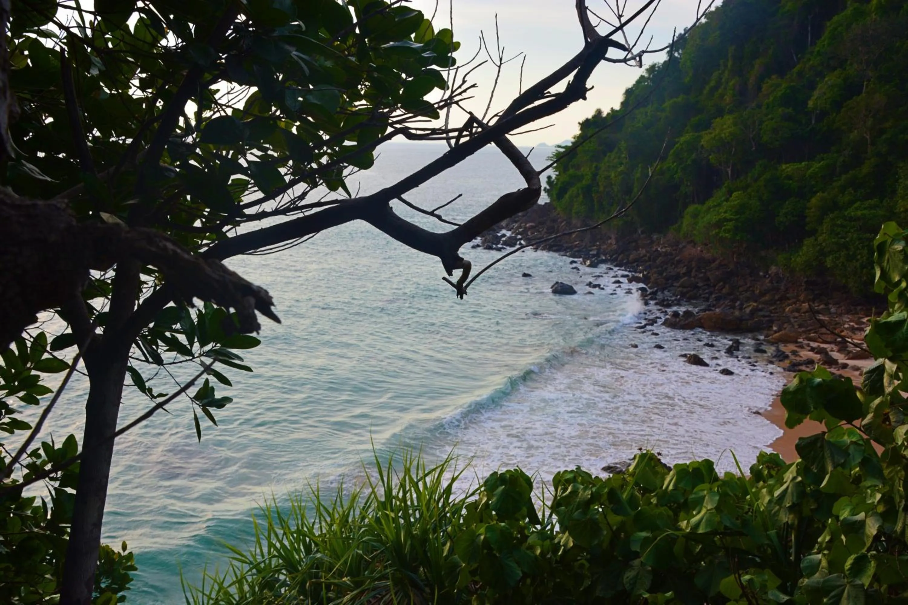 Paradise Lost Bungalows