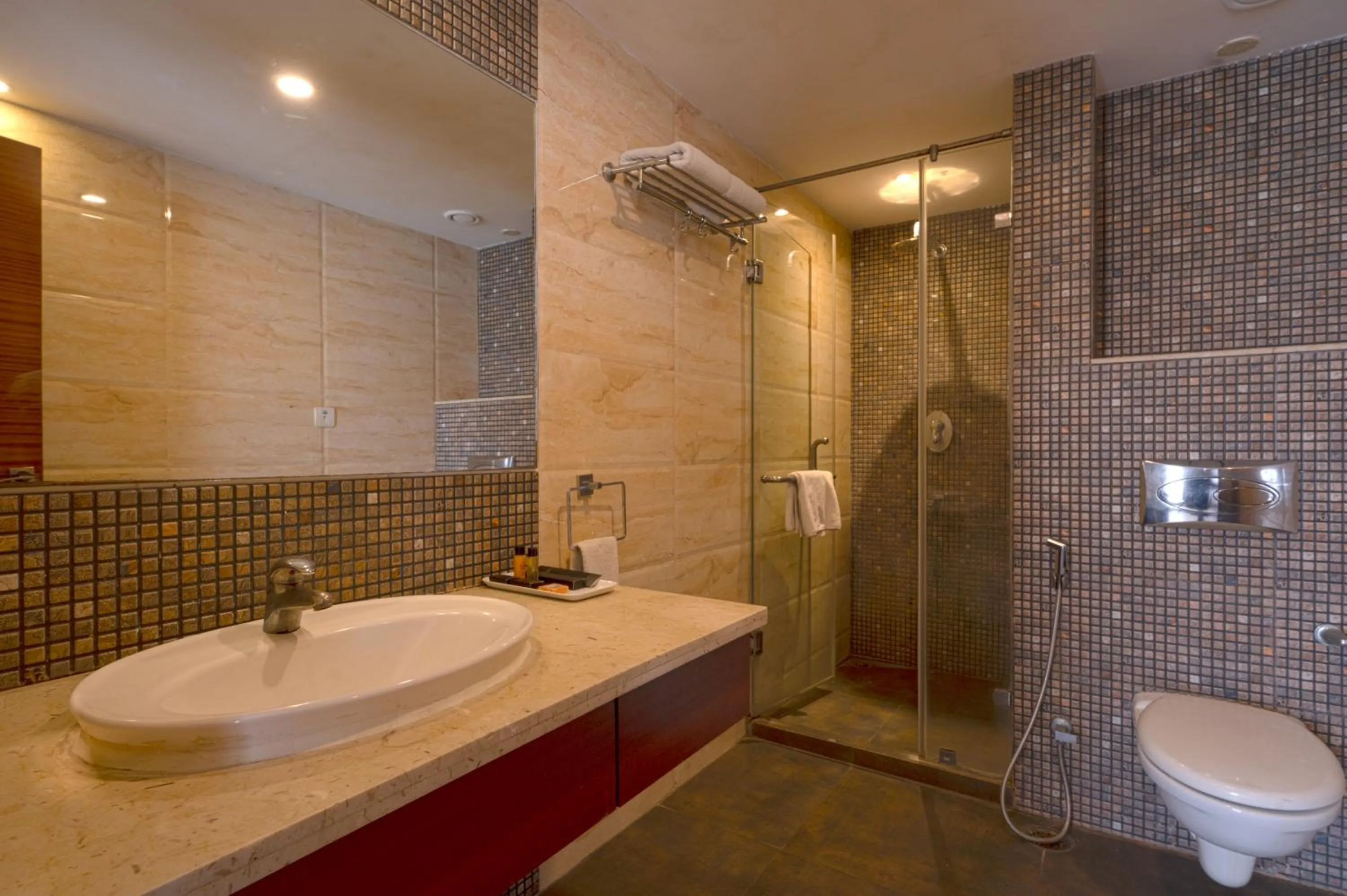 Bathroom in Celesta Hotel - Kolkata