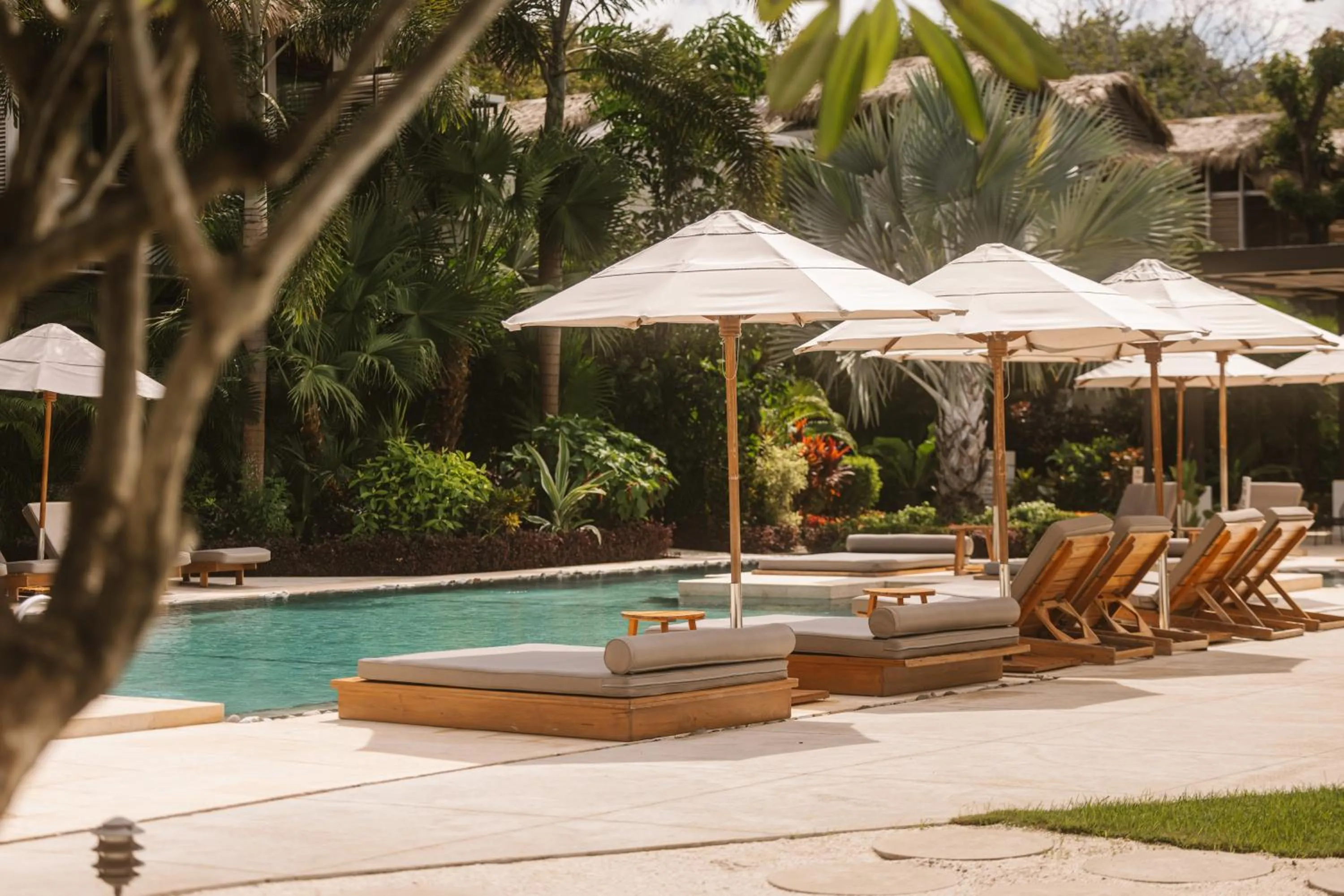 Day in The Gilded Iguana