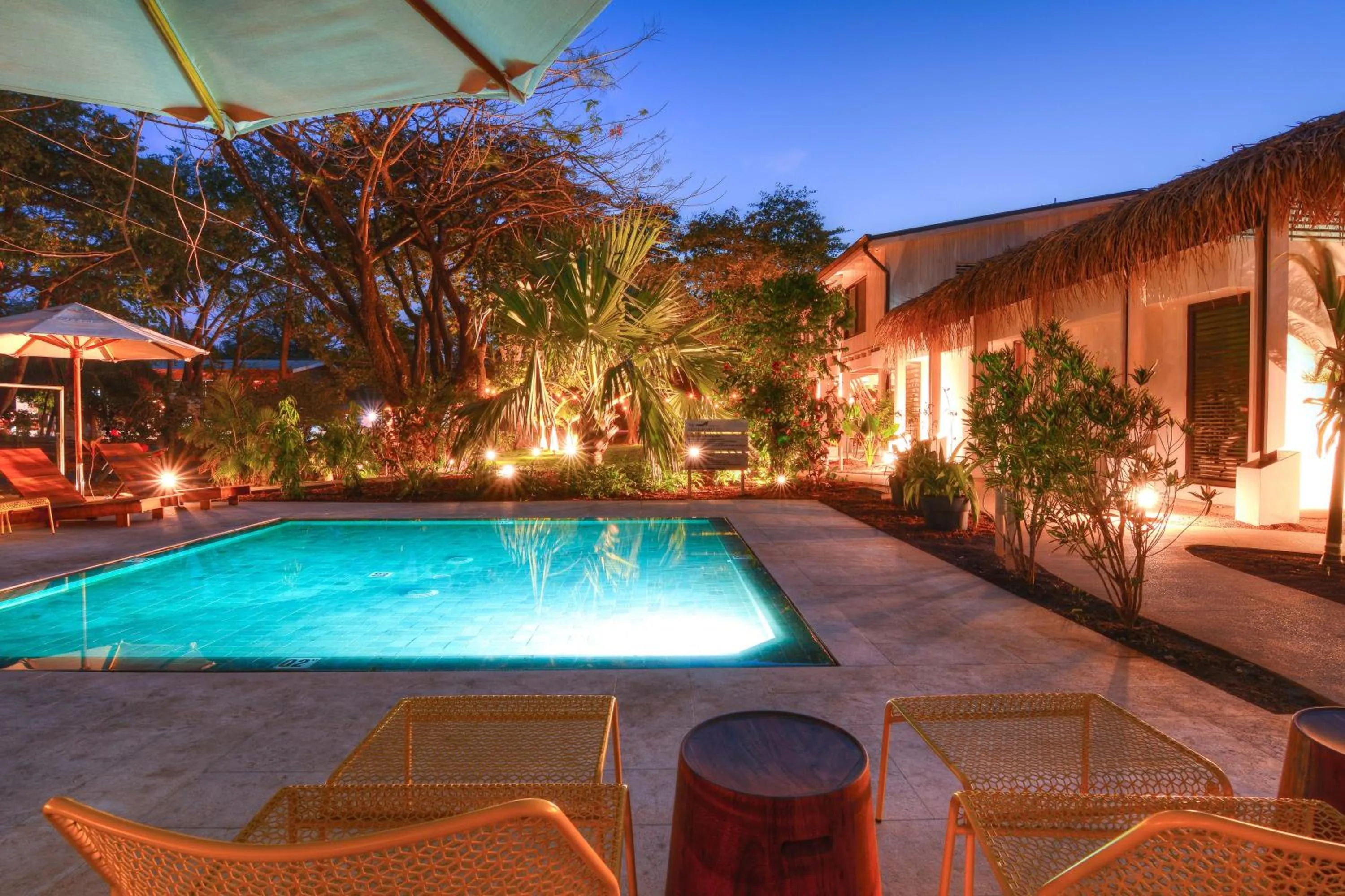 Night in The Gilded Iguana