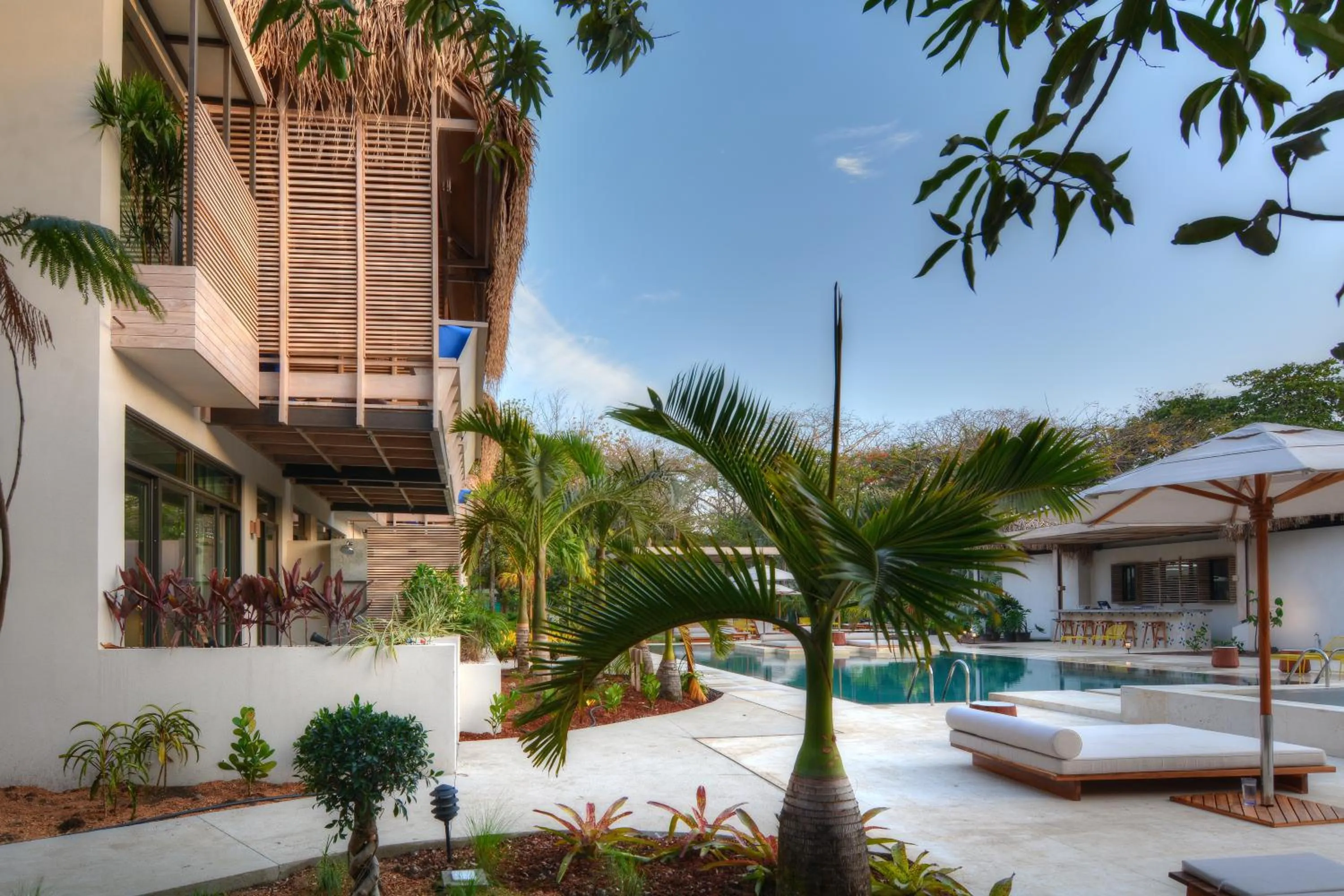 Garden in The Gilded Iguana