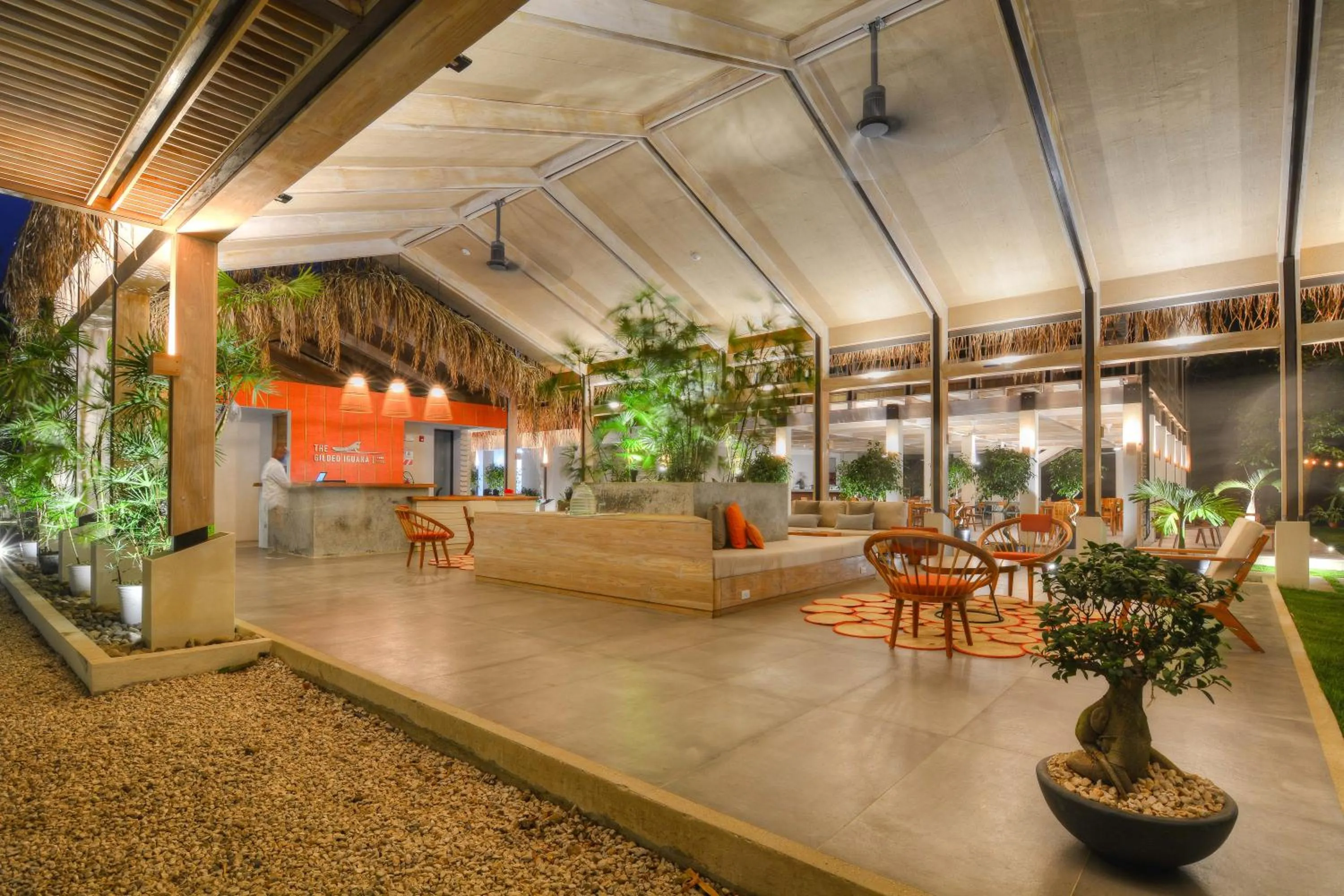 Night in The Gilded Iguana