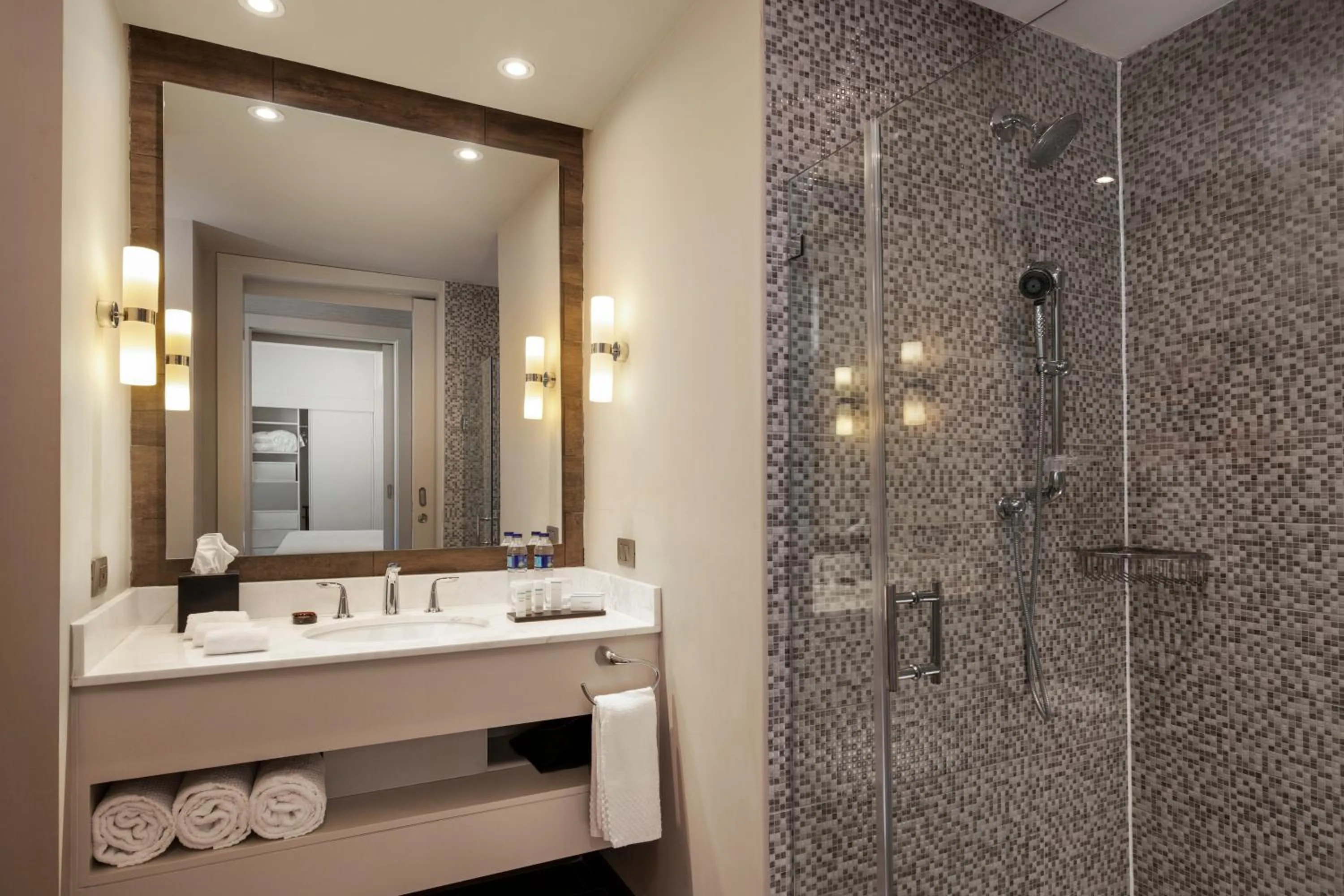Bathroom in Embassy Suites by Hilton Santo Domingo