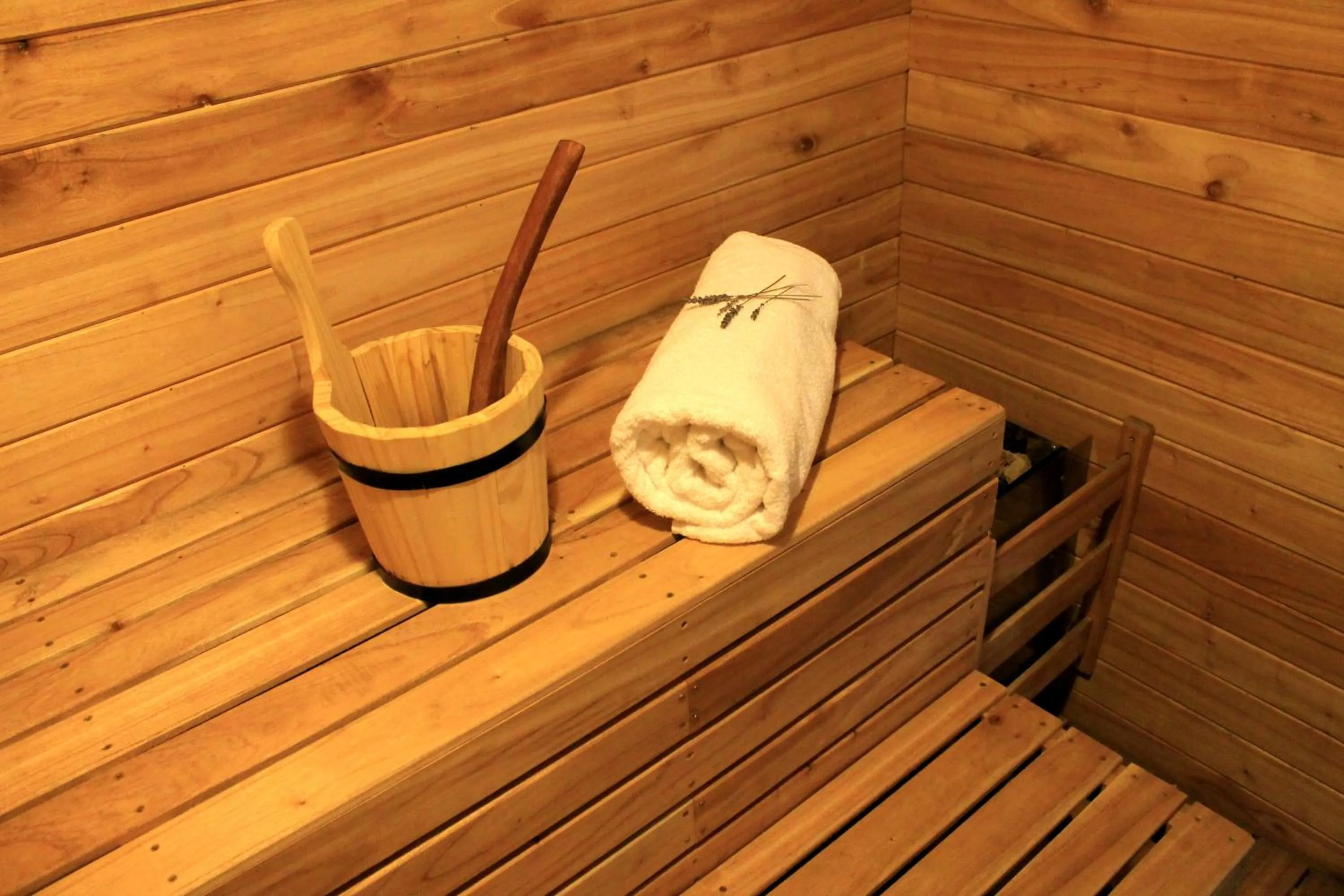 Sauna in Los Robles Apart & Spa