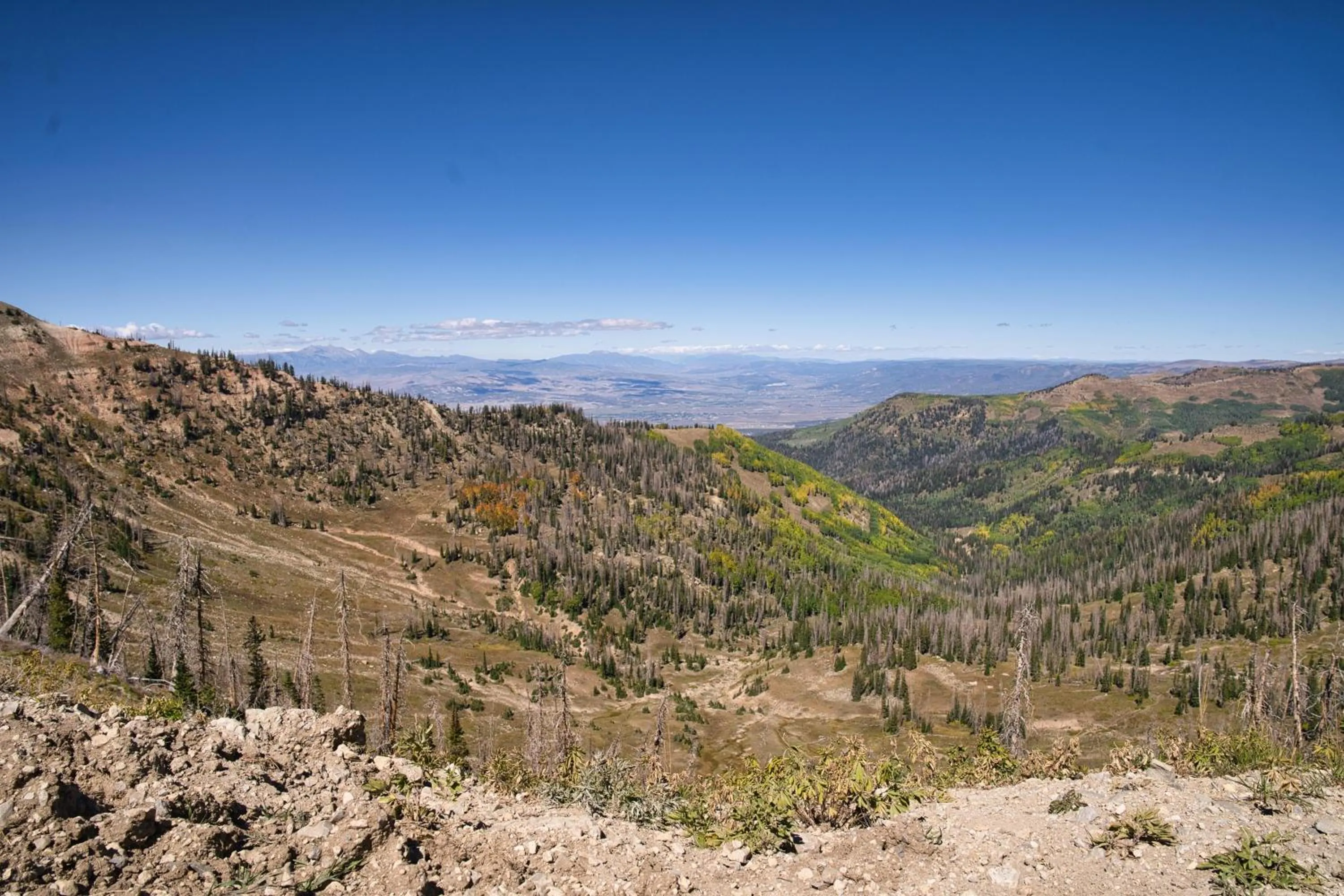 Other in Hacienda Roja - The Pinion #8 at Wind Walker Homestead