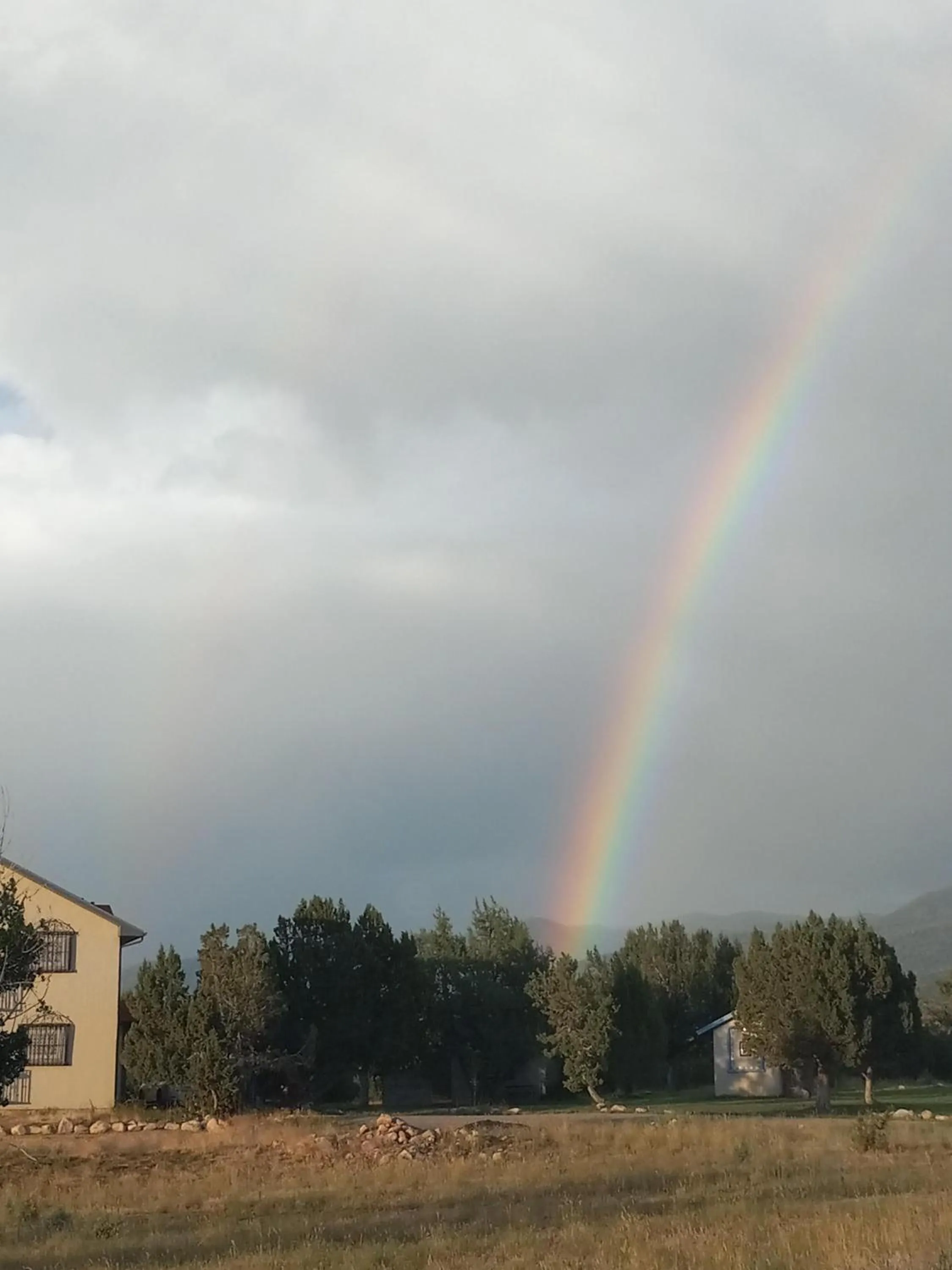 Other in Hacienda Roja - The Sage #6 at Wind Walker Homestead