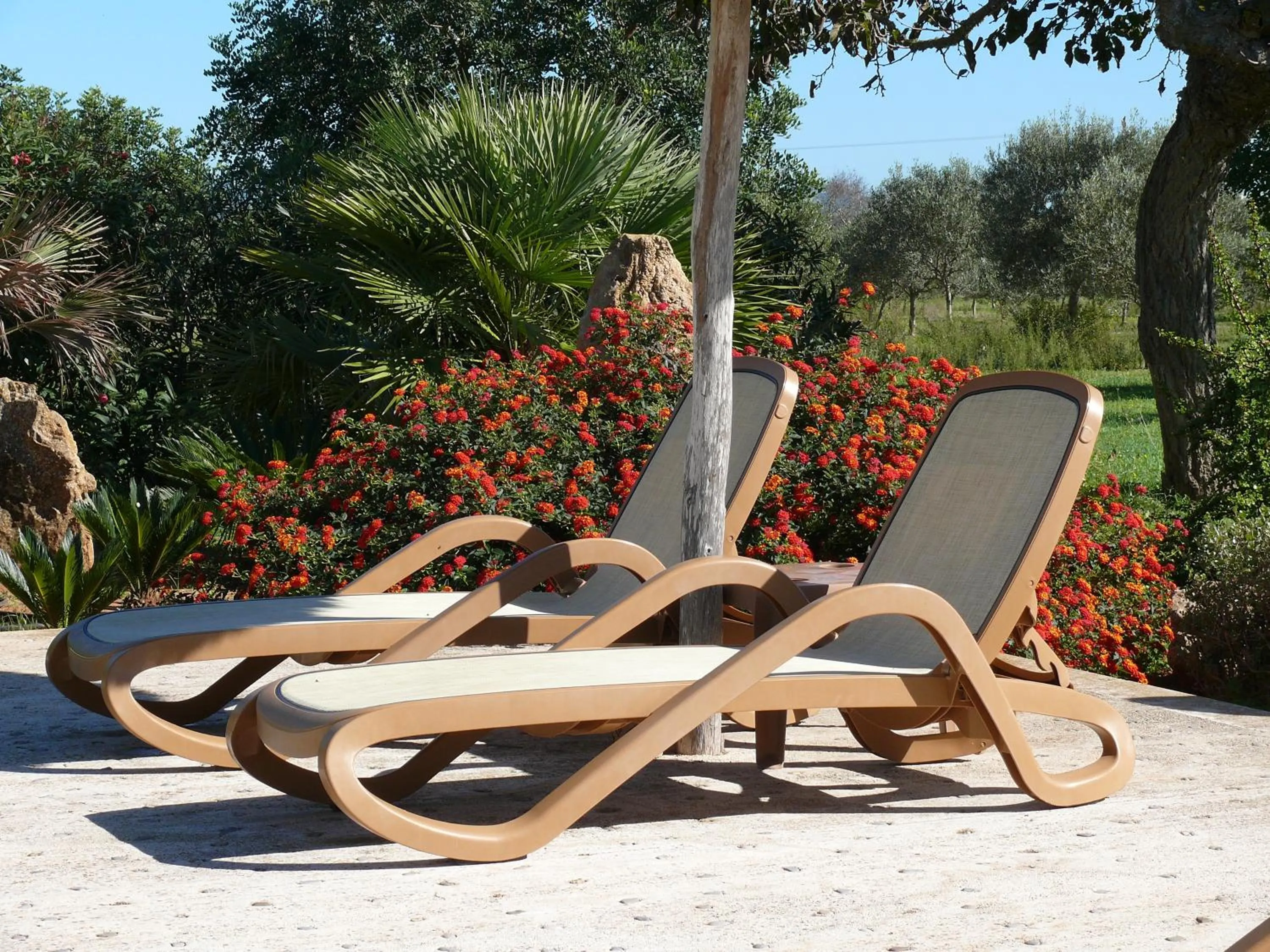 Balcony/Terrace in Sa Carrotja - Adults Only