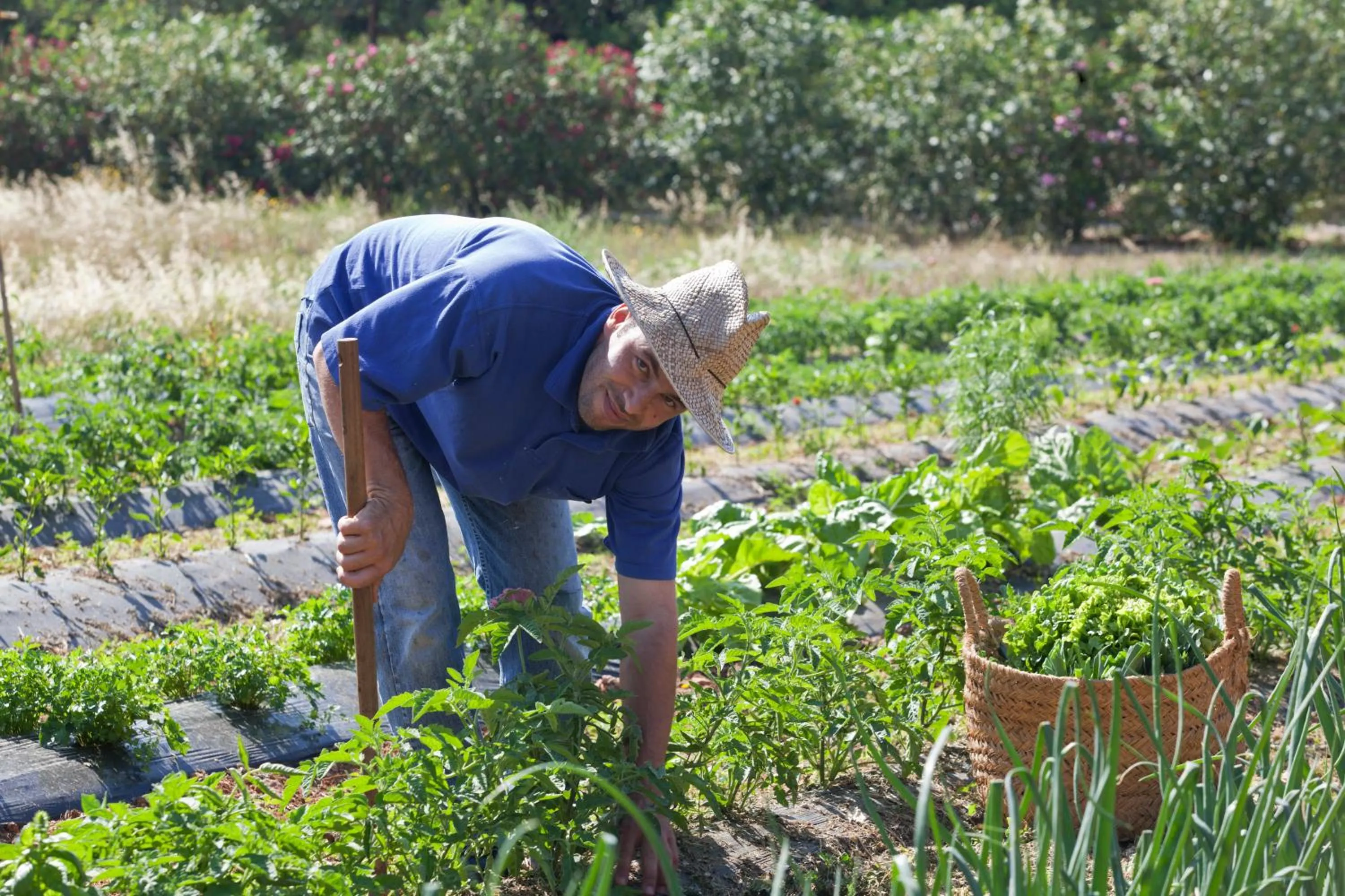 People in Sa Carrotja - Adults Only
