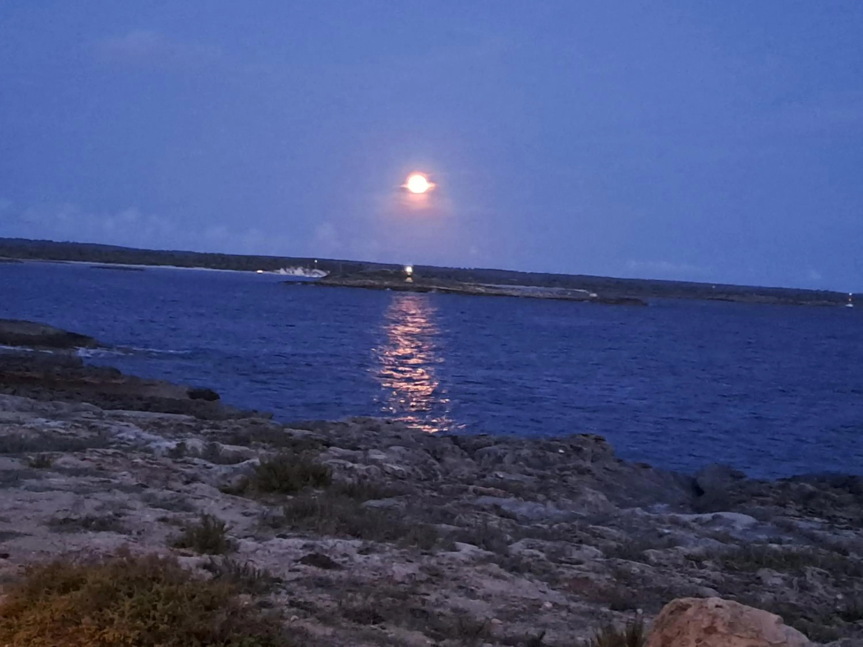 Sea view in Sa Carrotja - Adults Only