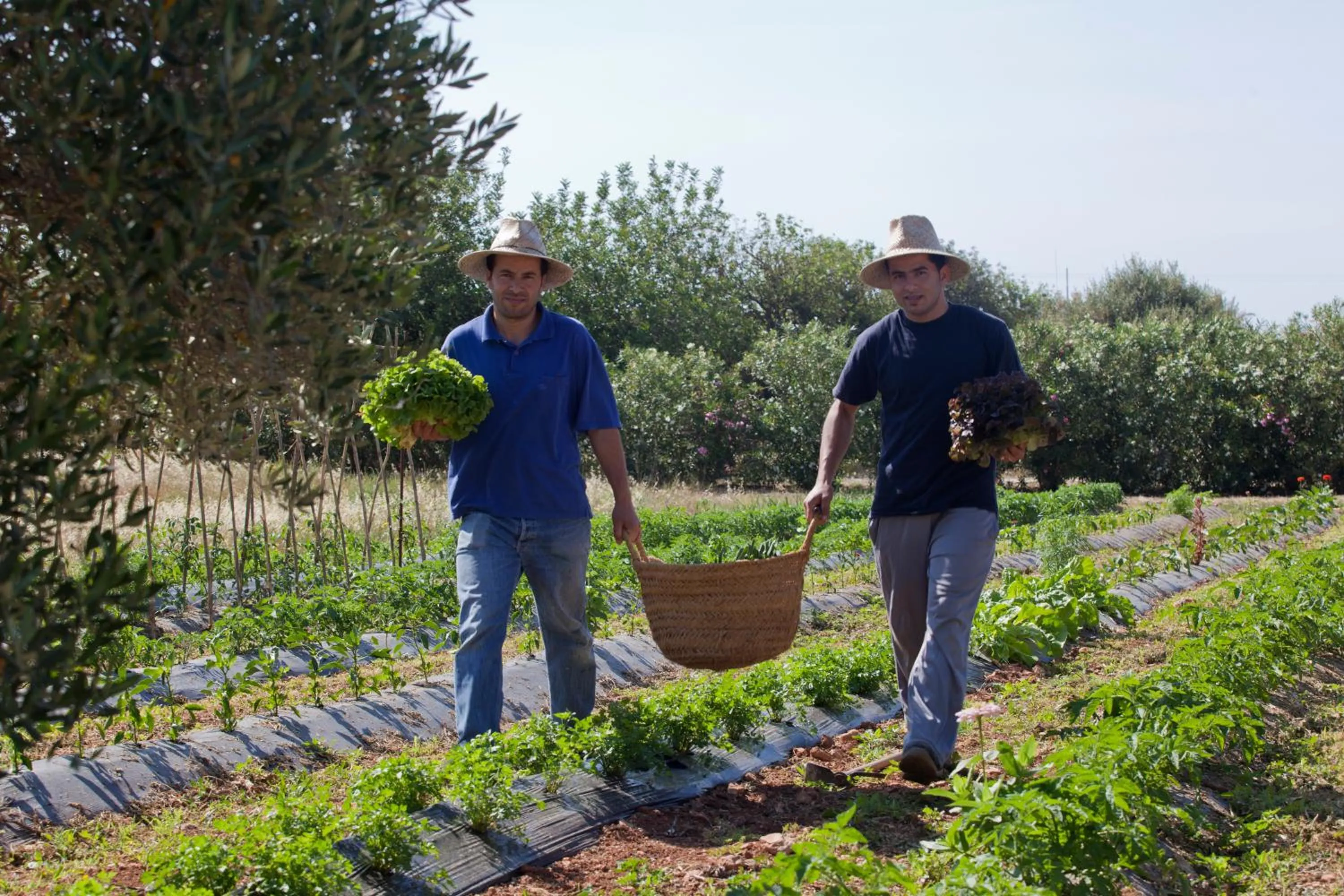 People in Sa Carrotja - Adults Only