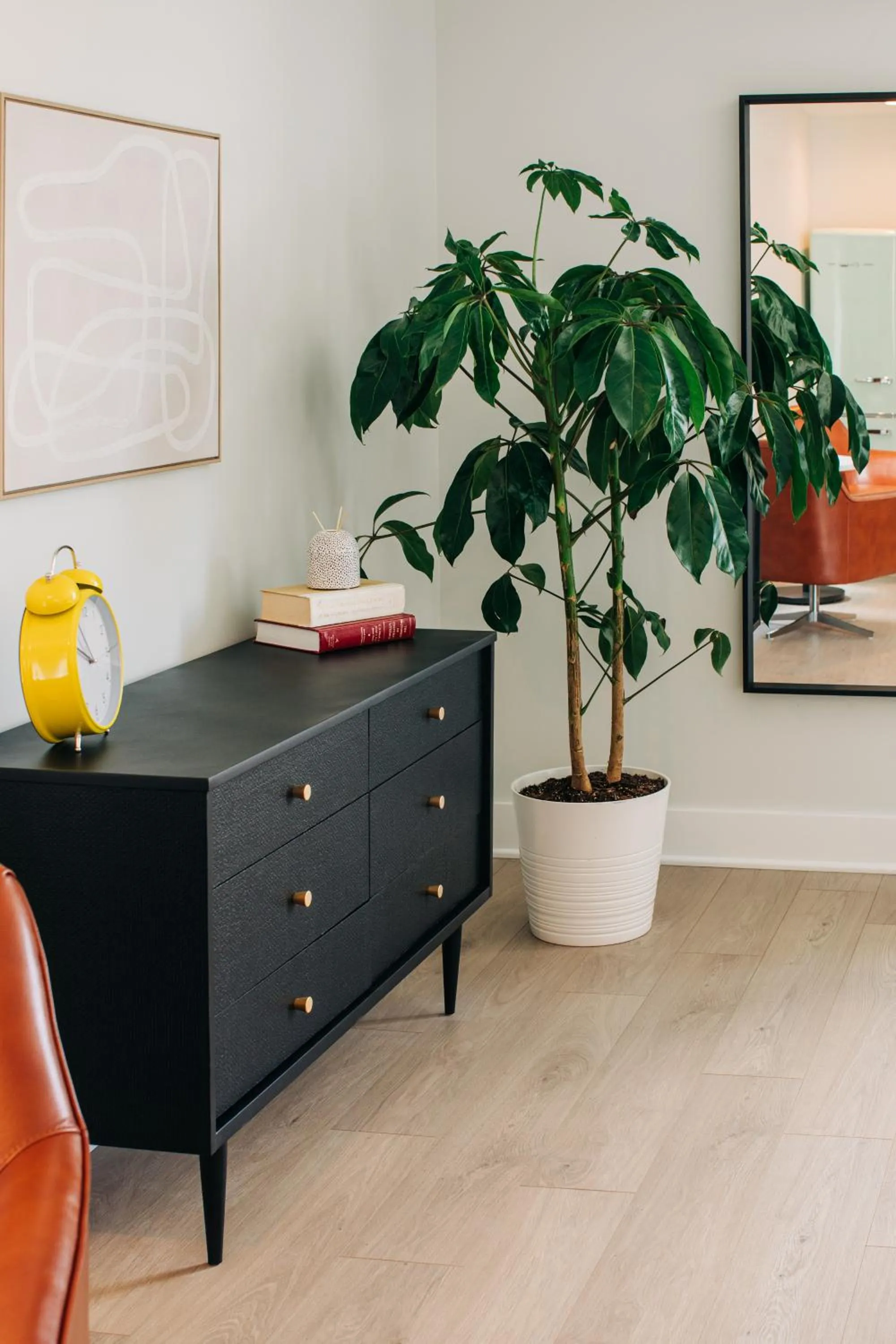 hair dresser in Stellar Suites