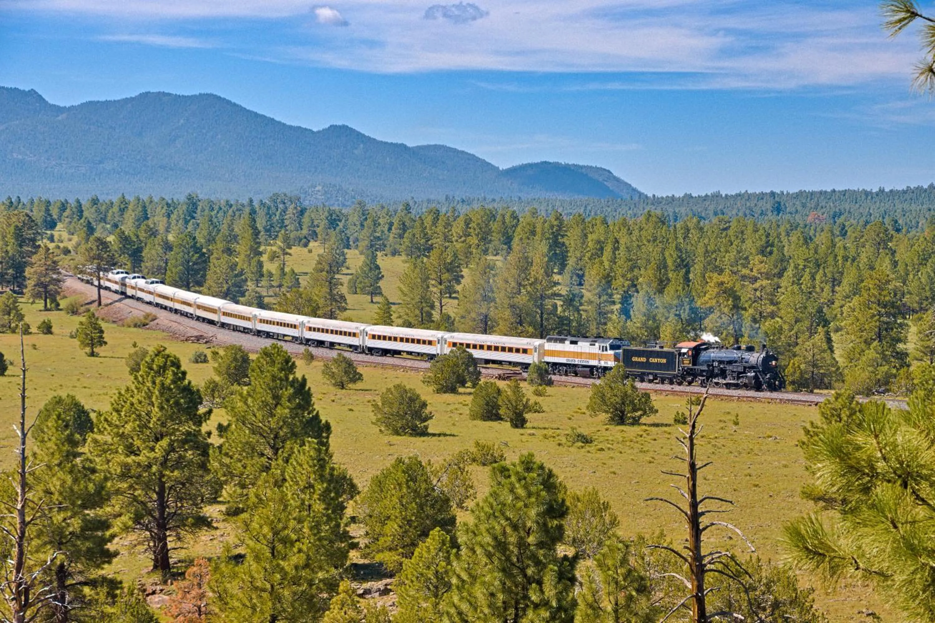 Entertainment in Inn History Grand Canyon Cabin