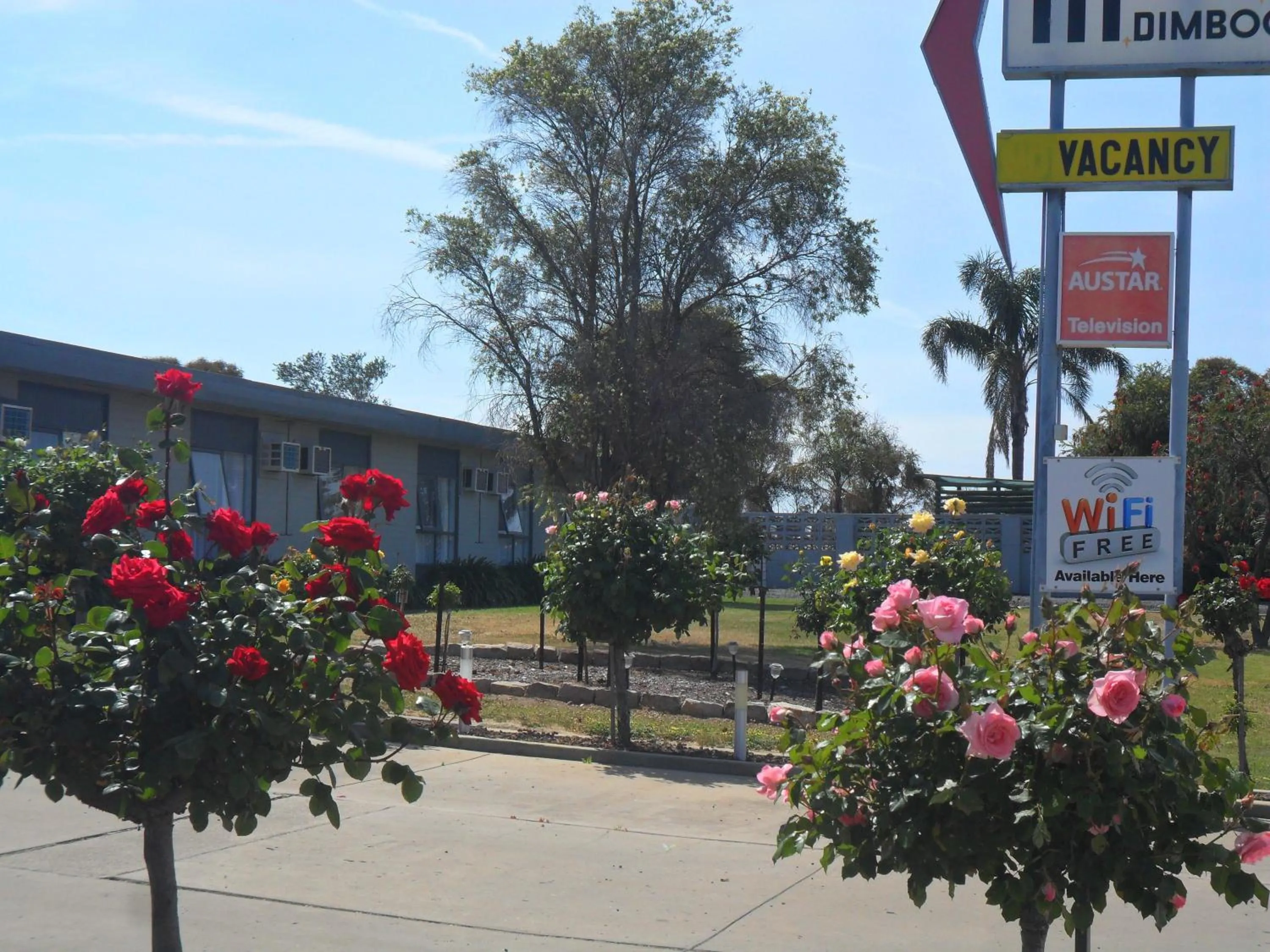 Garden in Motel Dimboola