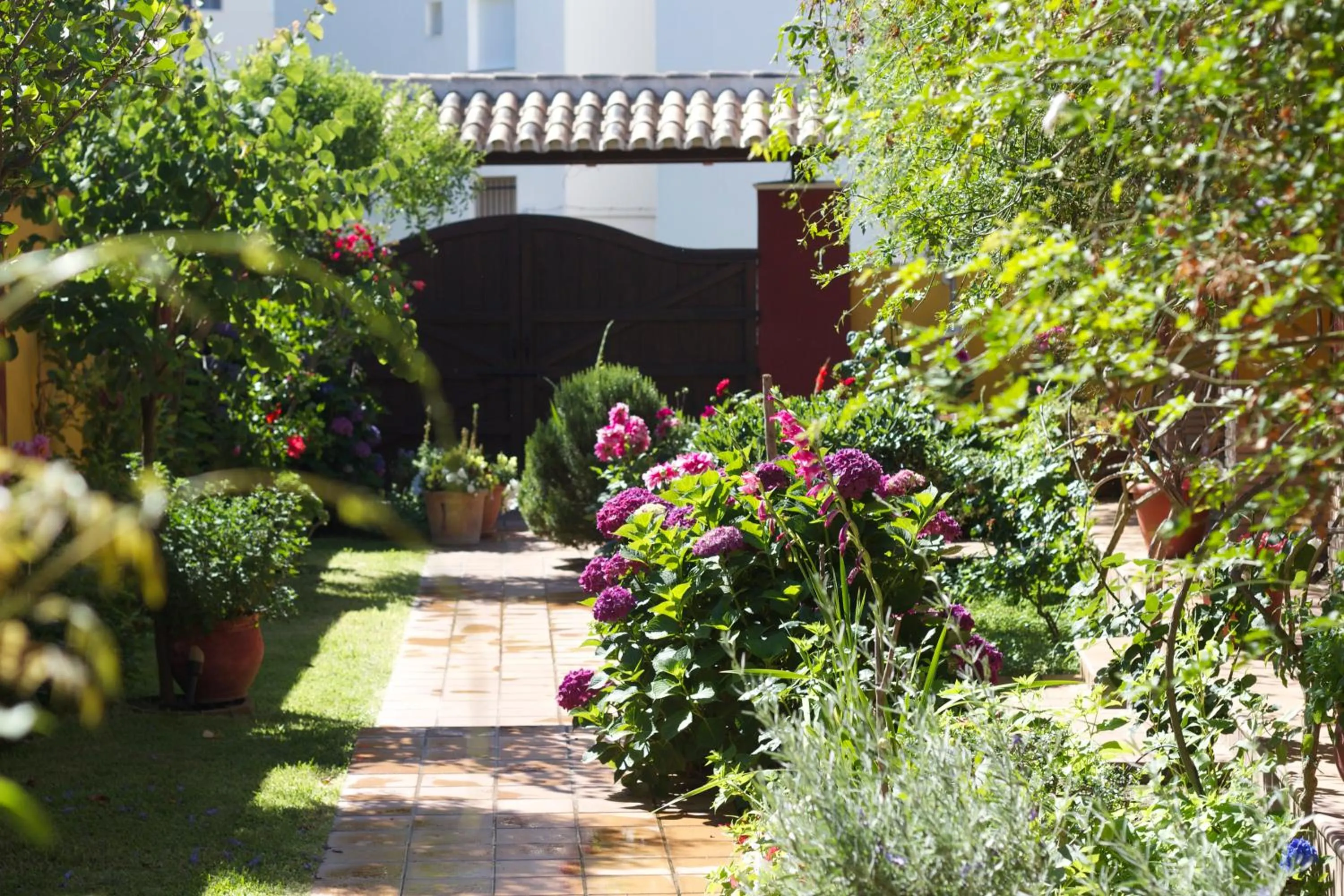 Garden in Hotel Doñana Blues