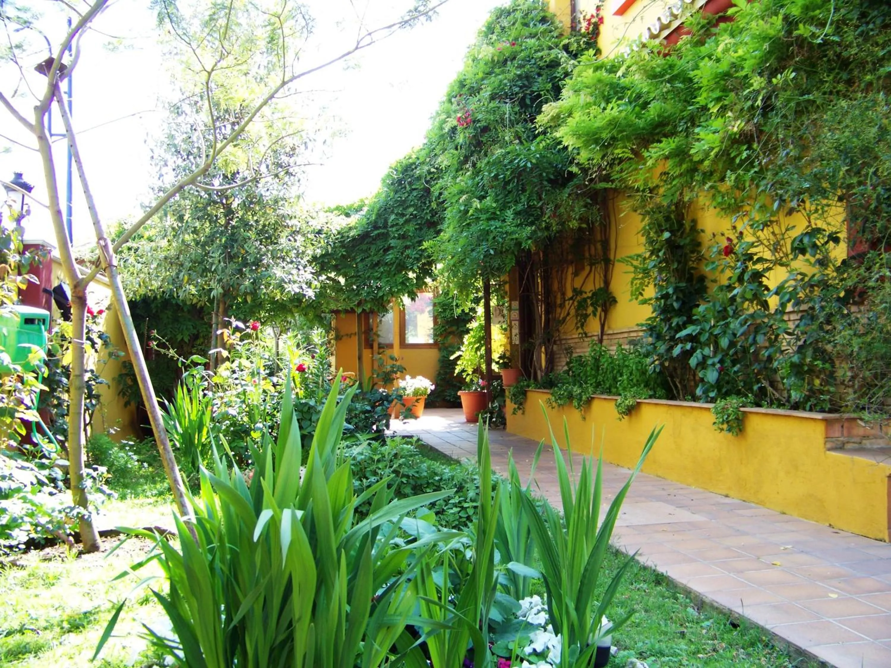 Garden in Hotel Doñana Blues