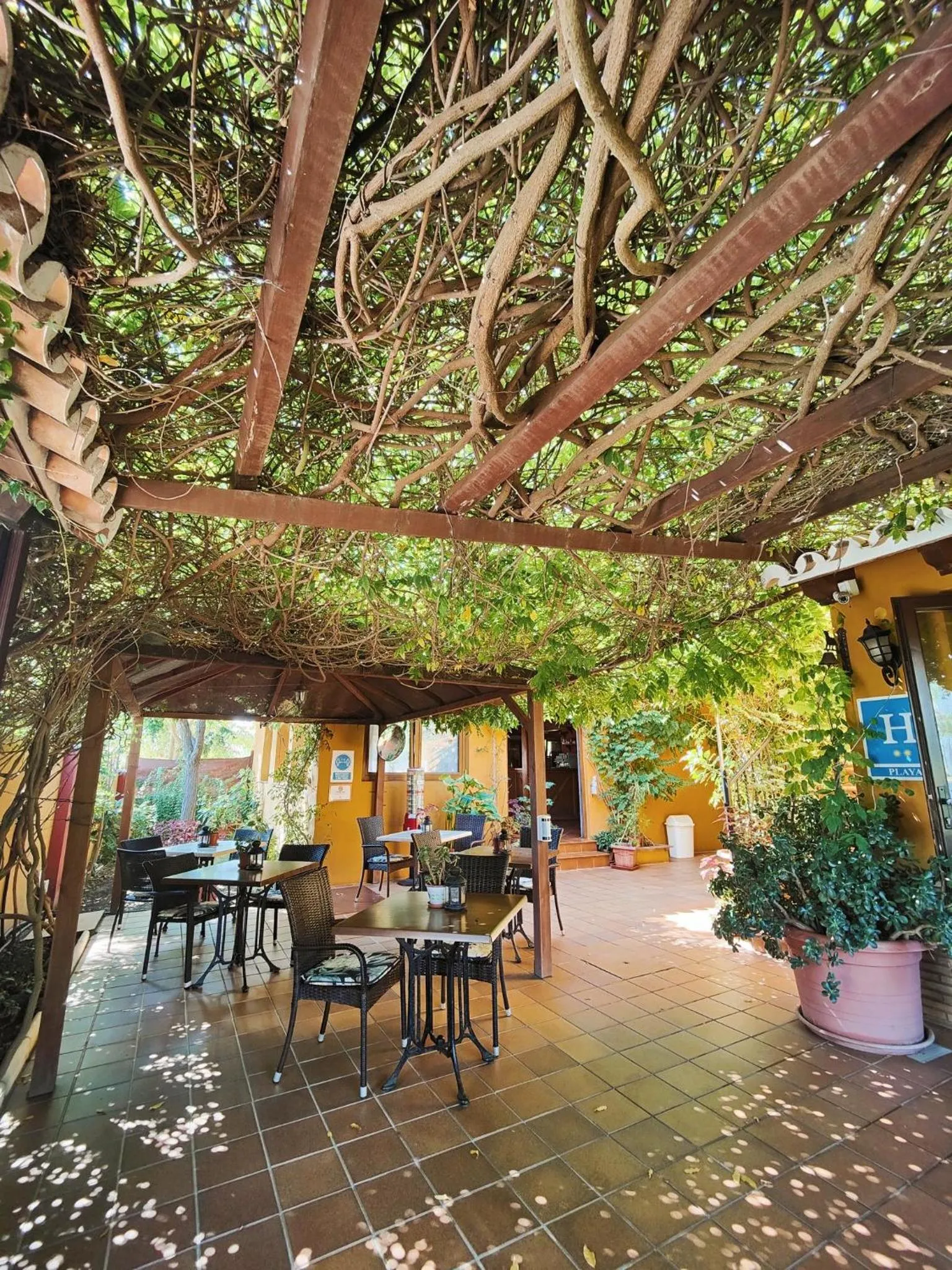 Lobby or reception in Hotel Doñana Blues
