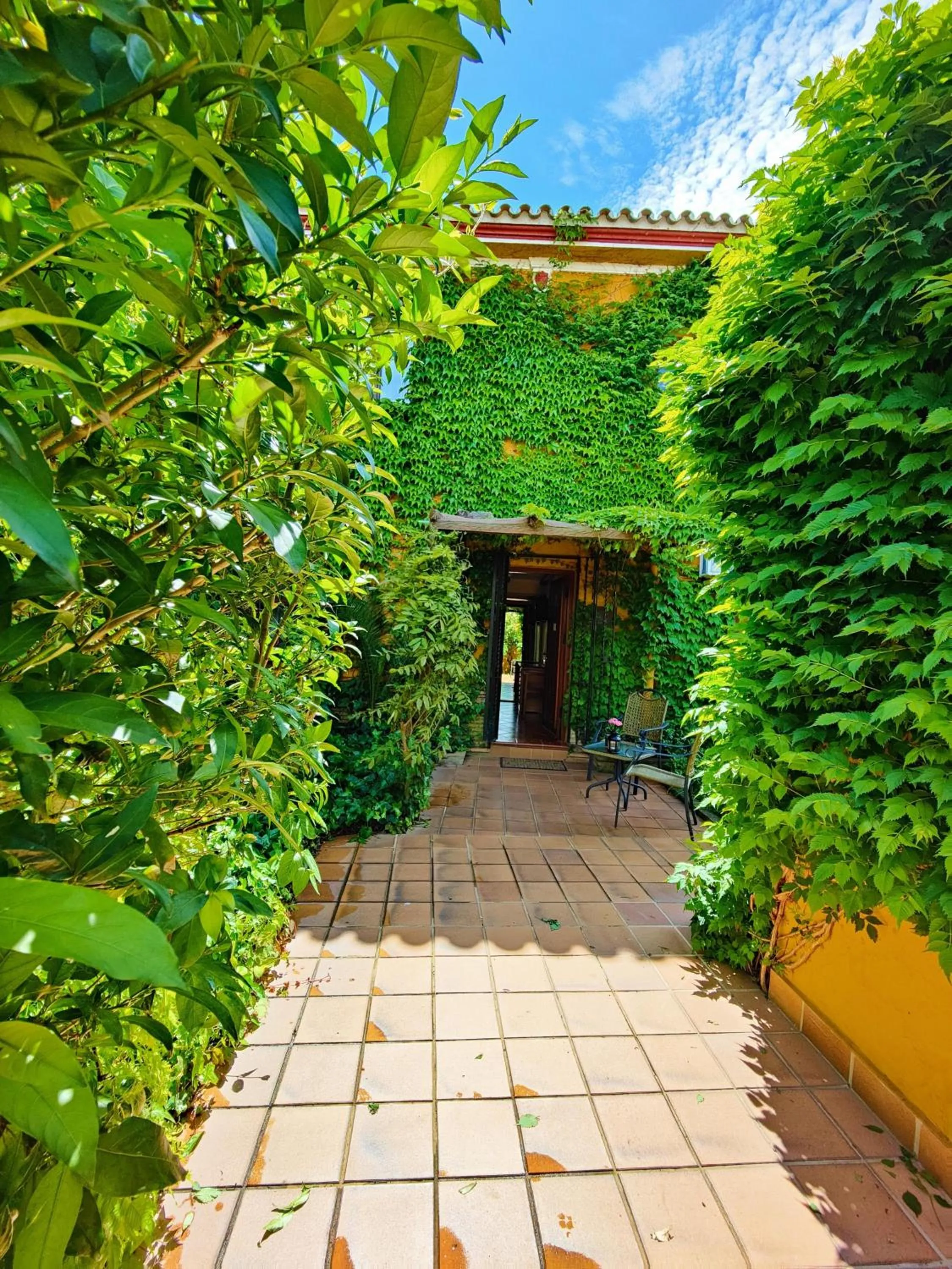Garden in Hotel Doñana Blues
