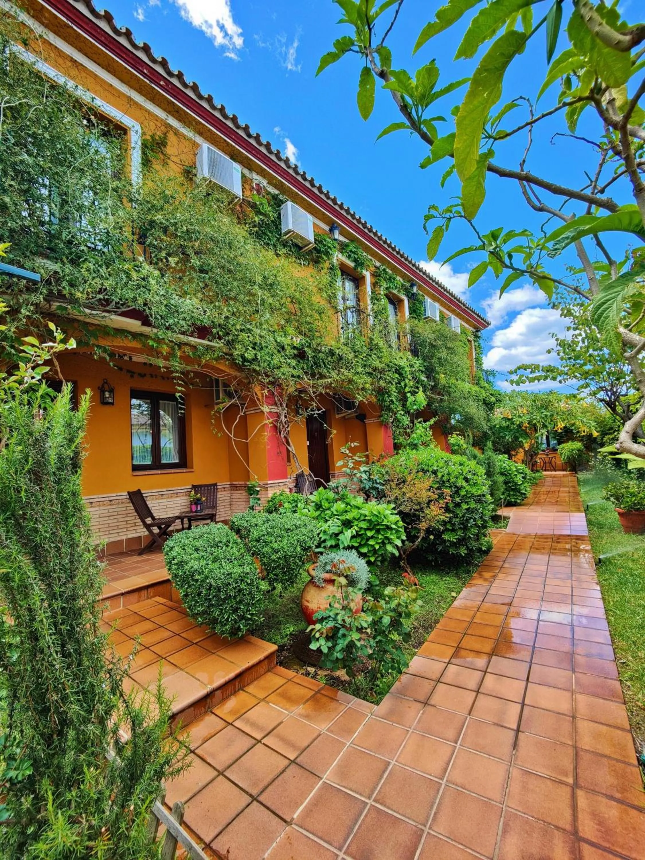 Garden view in Hotel Doñana Blues