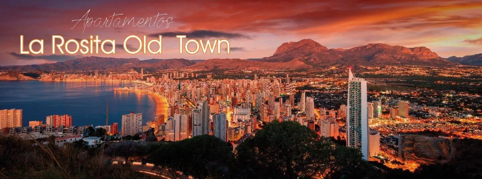 Logo/Certificate/Sign in Apartamentos La Rosita Old Town