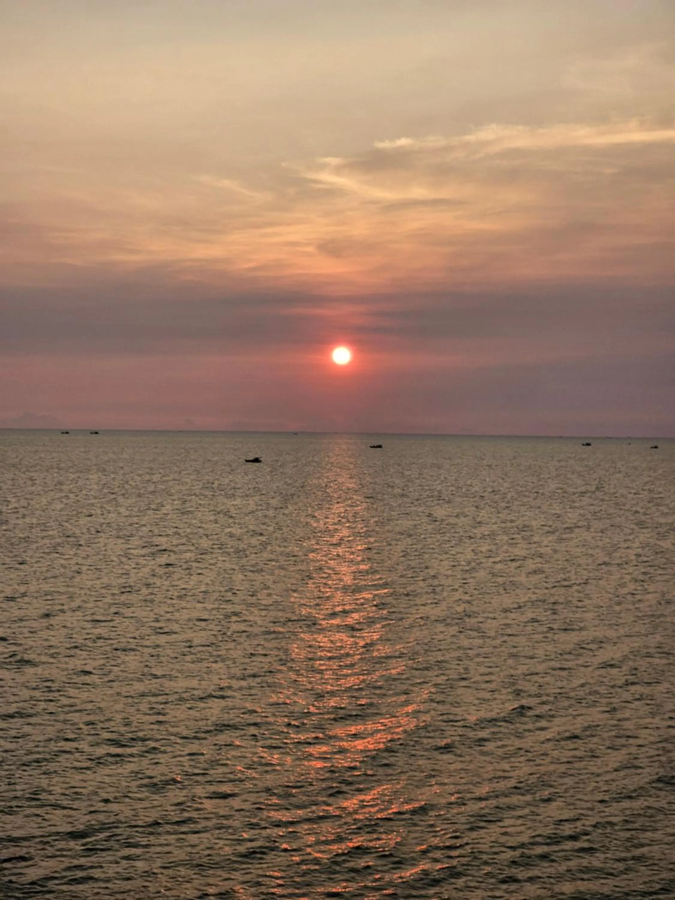 Natural landscape in Venus Phu Quoc Hotel