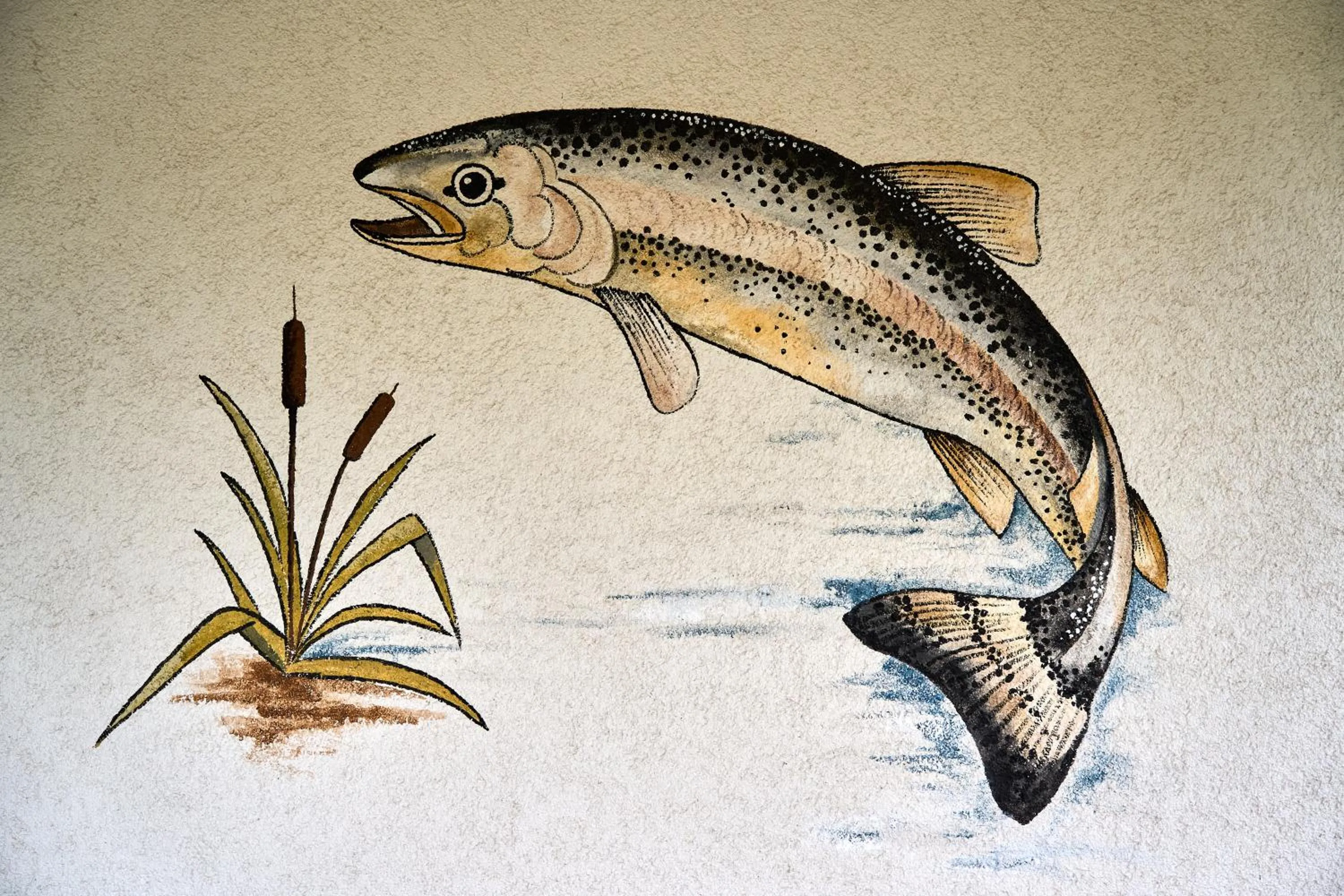 Property building in Gästehaus Forellenhof