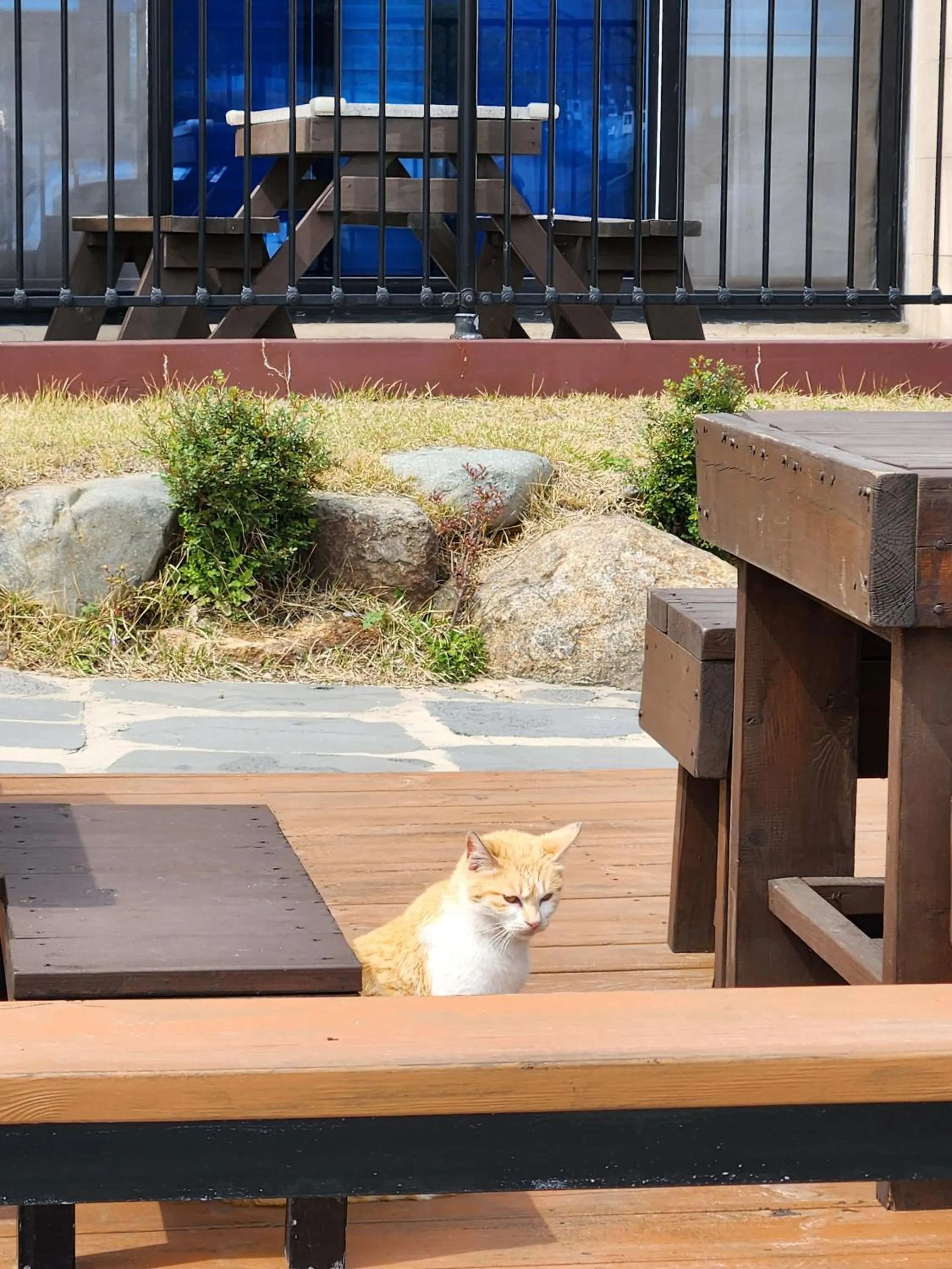 Garden in Seolli Resort Pension