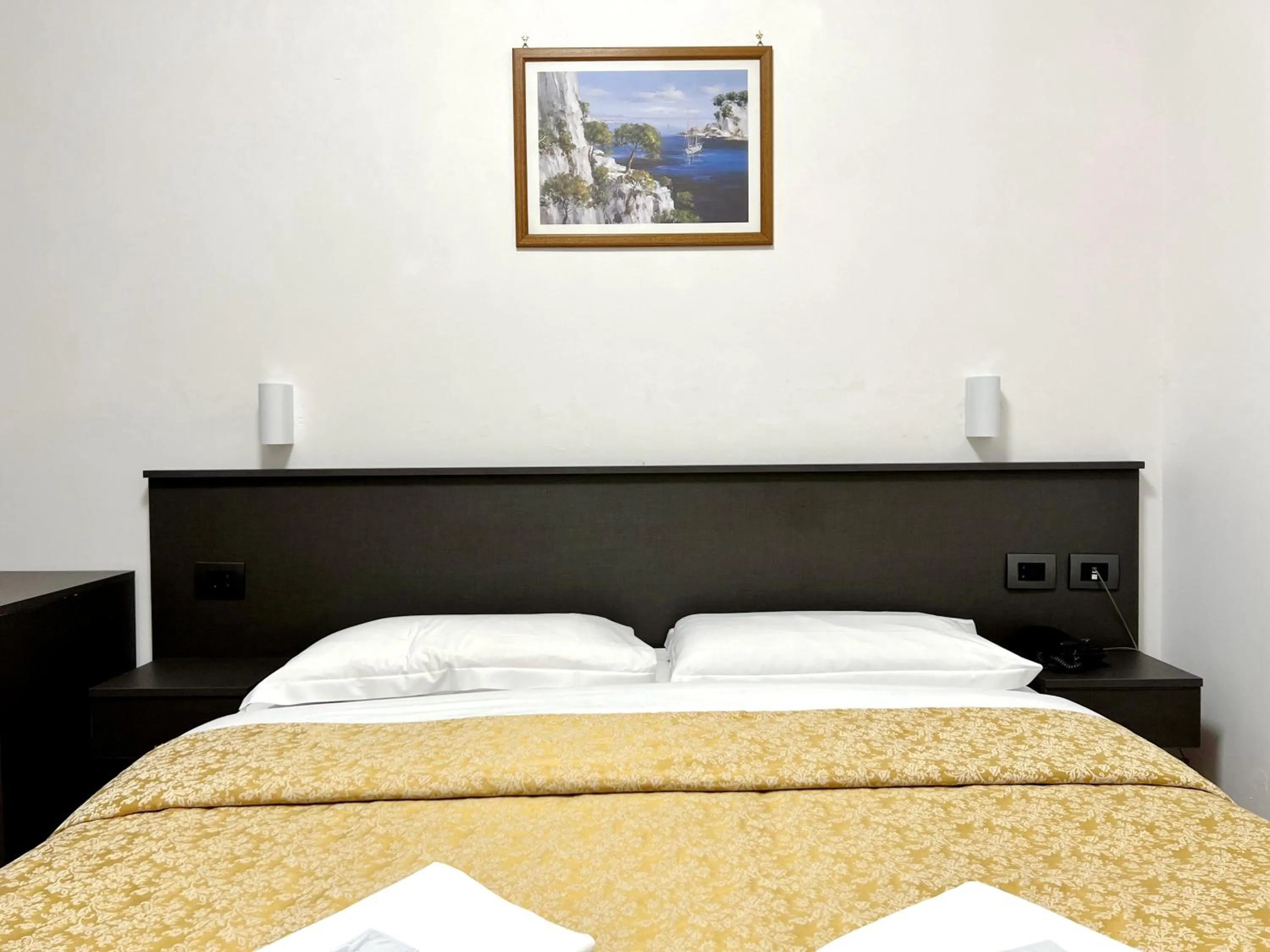 Bed in Hotel domus termini