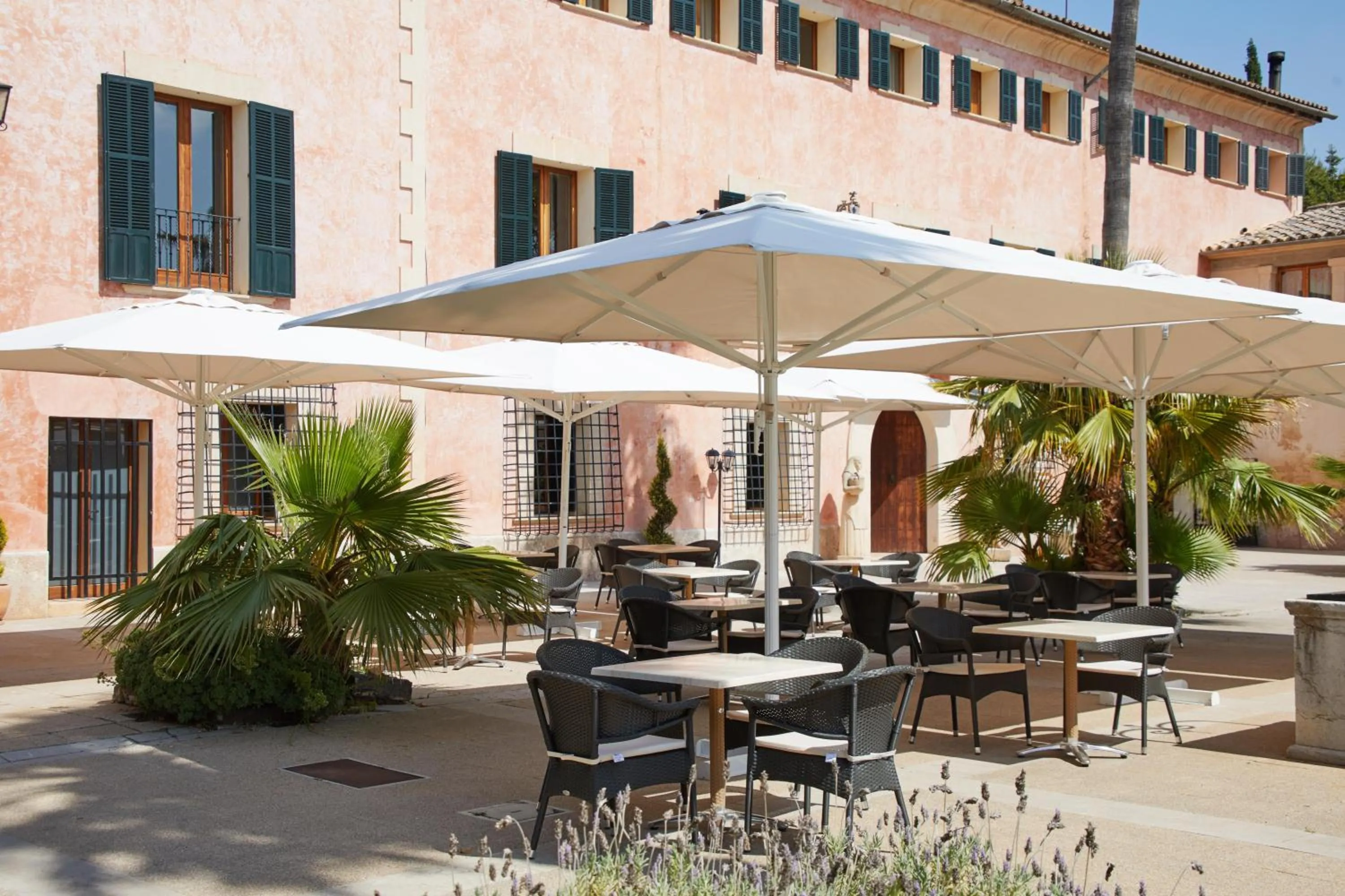 Balcony/Terrace in Virrey Finca Hotel