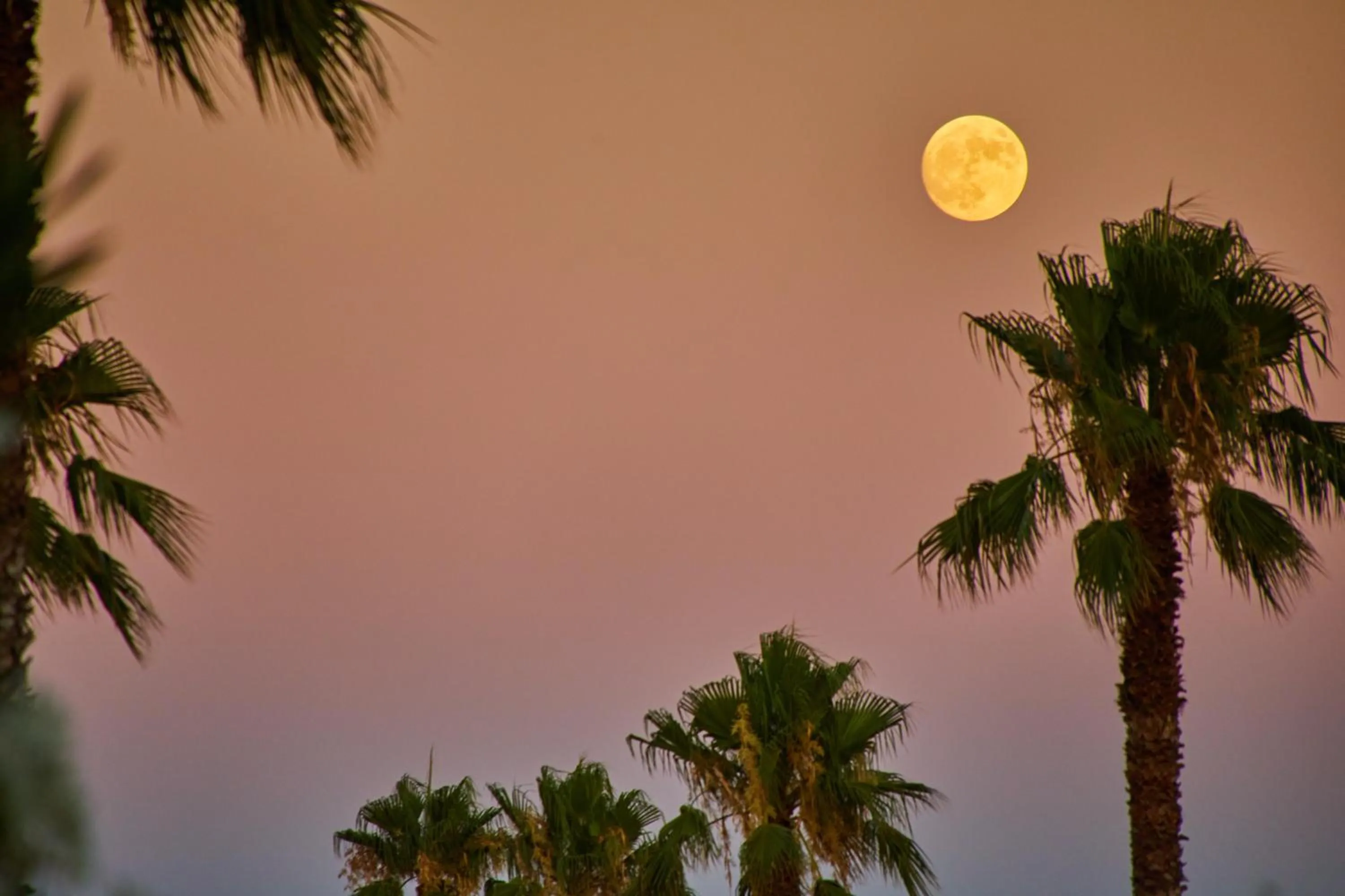 Natural landscape in Virrey Finca Hotel