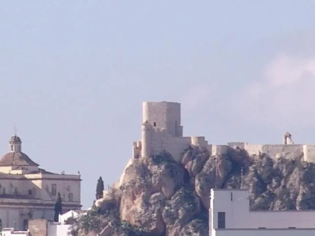 Area and facilities in Hotel Meson Fuente del Pino