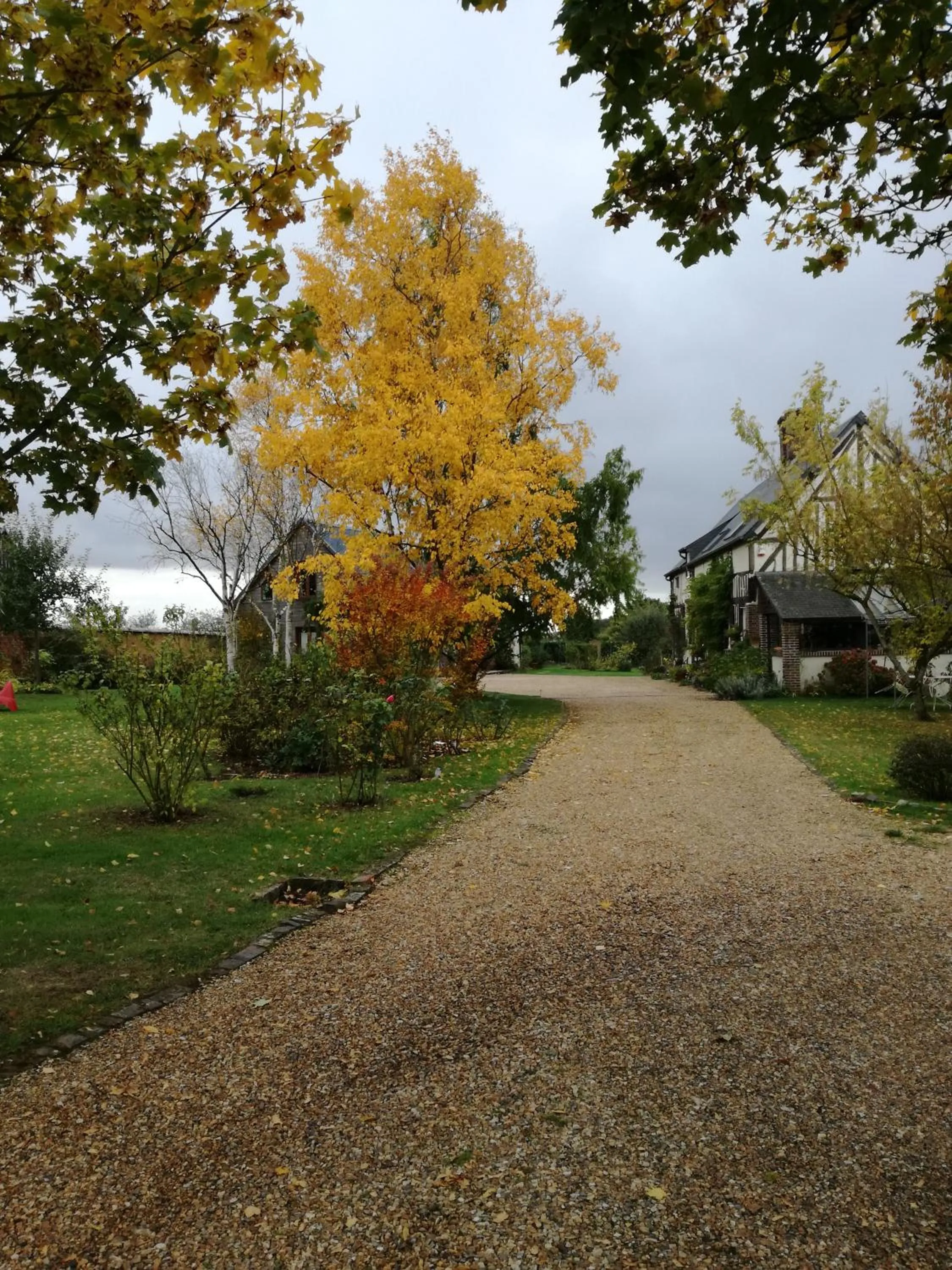Garden in Chambre d'hôtes - Le jardin des Patissons