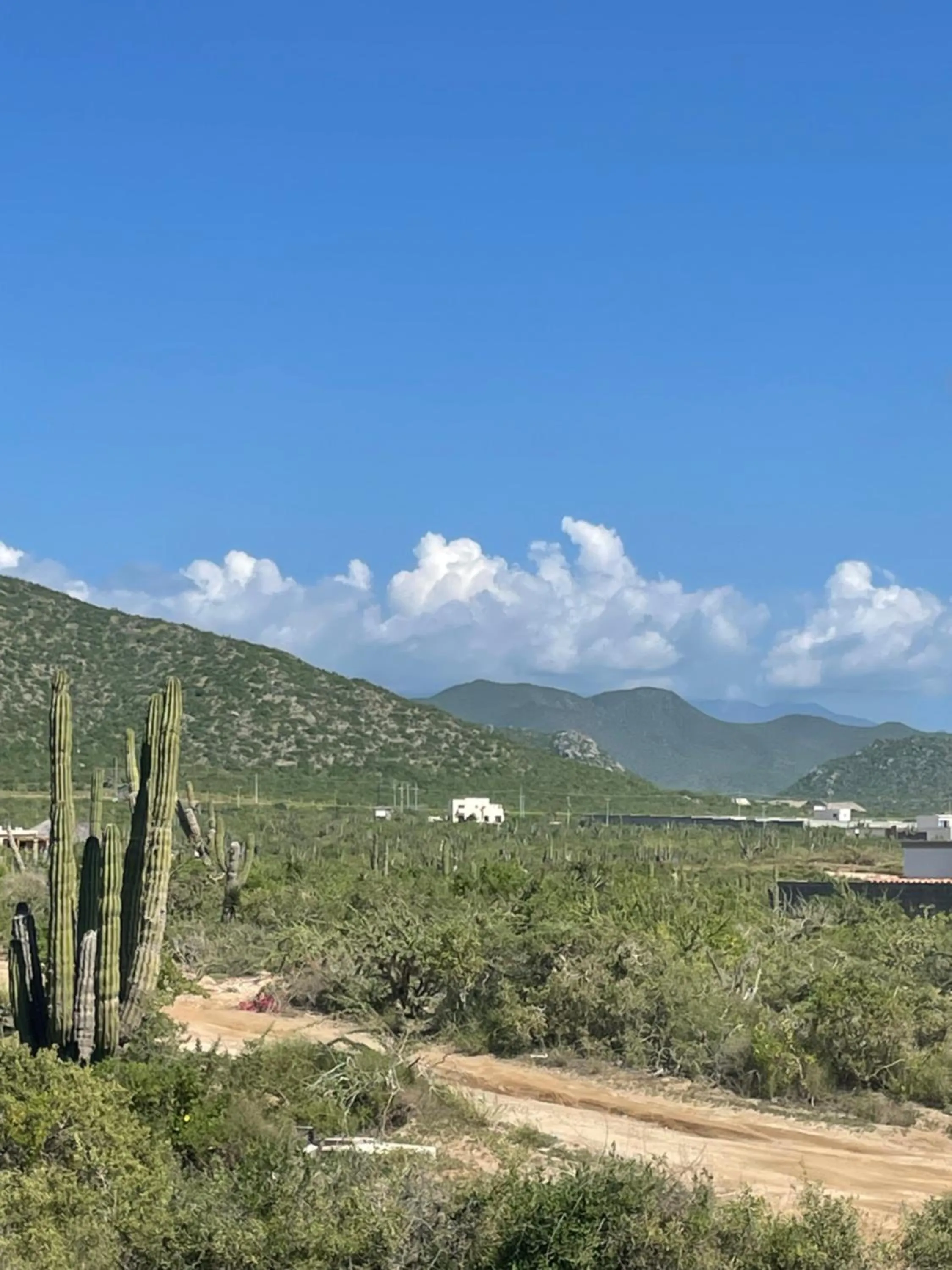 View (from property/room) in Las Palmas Hotel - Cerritos Beach