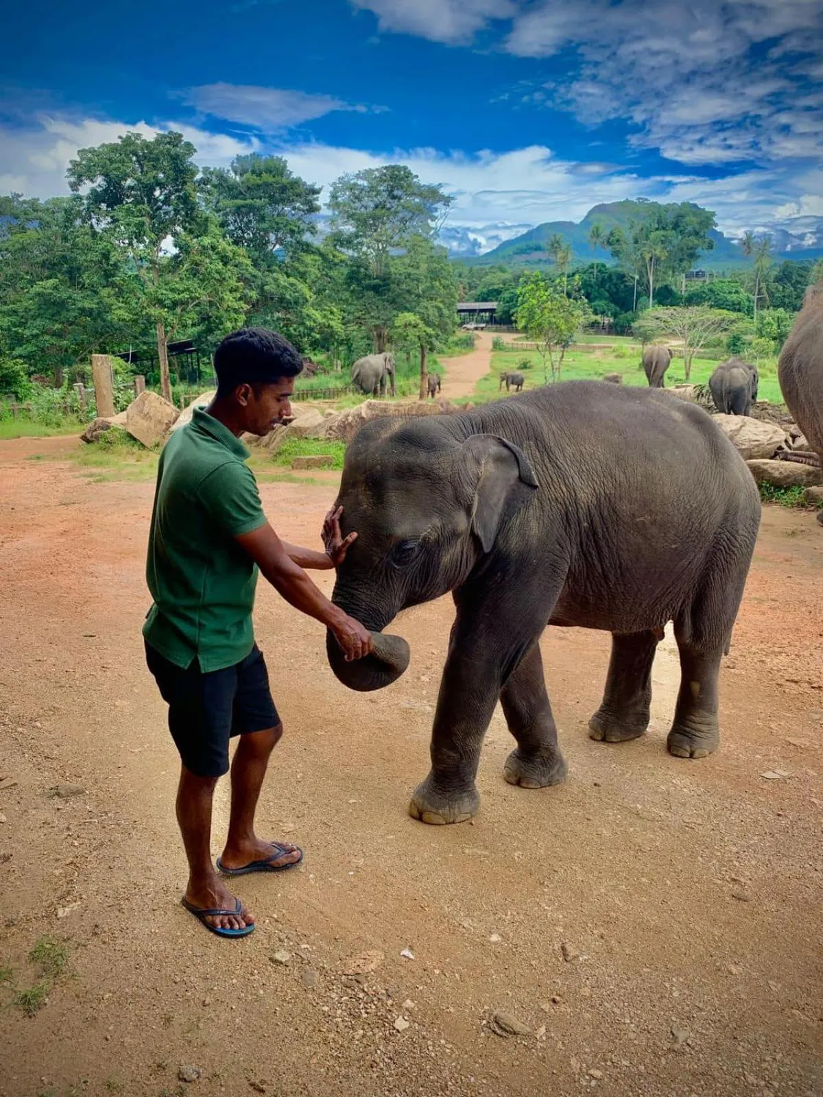 Elepath Lodge Pinnawala