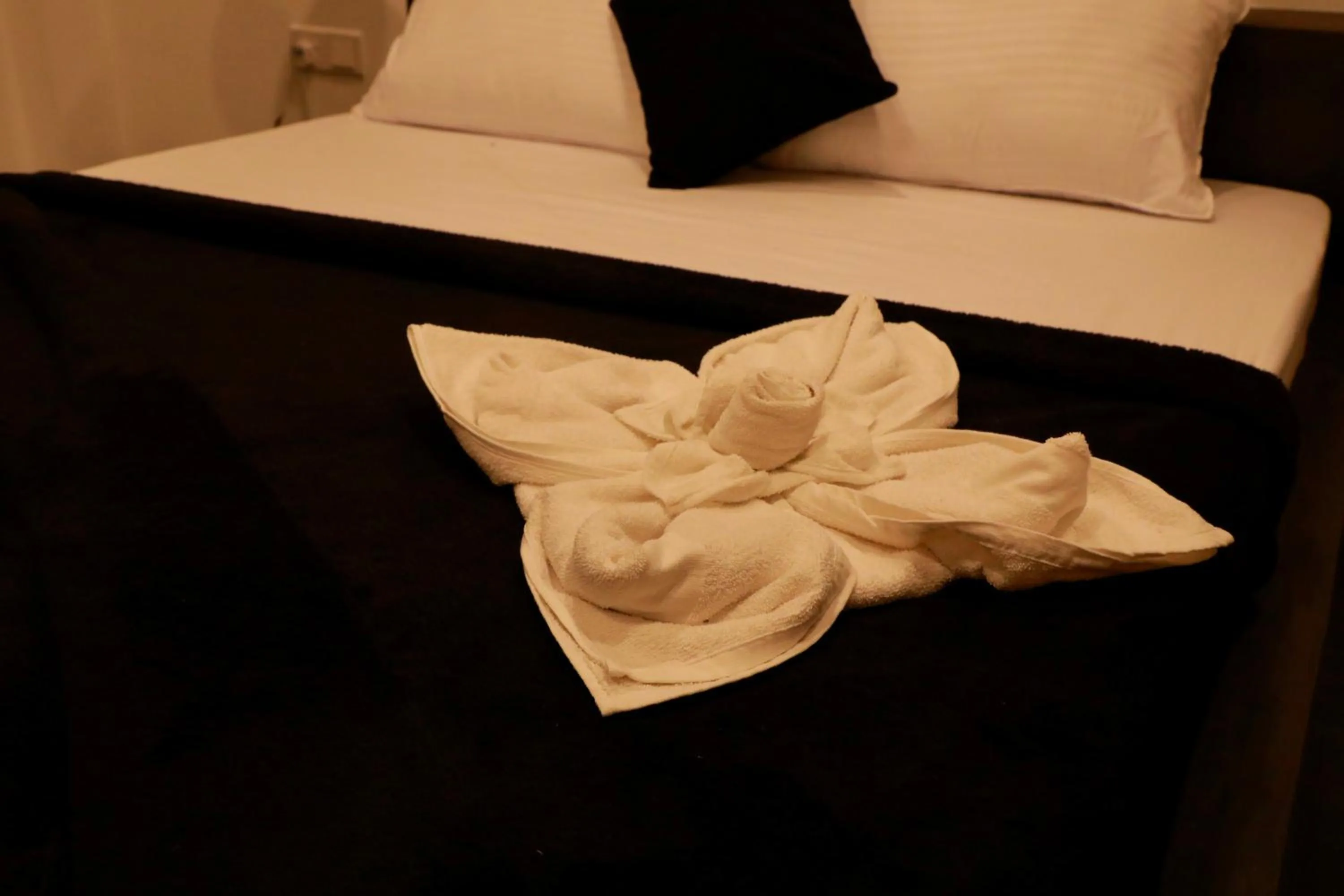 Bed in The Jini House