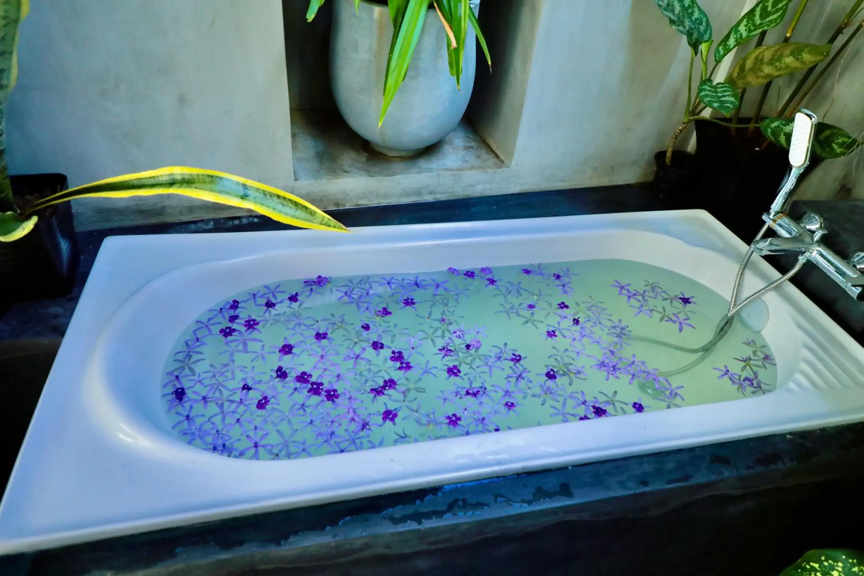 Deluxe Double Room with Bath in The Jini House Deluxe Double Room with Bath in The Jini House