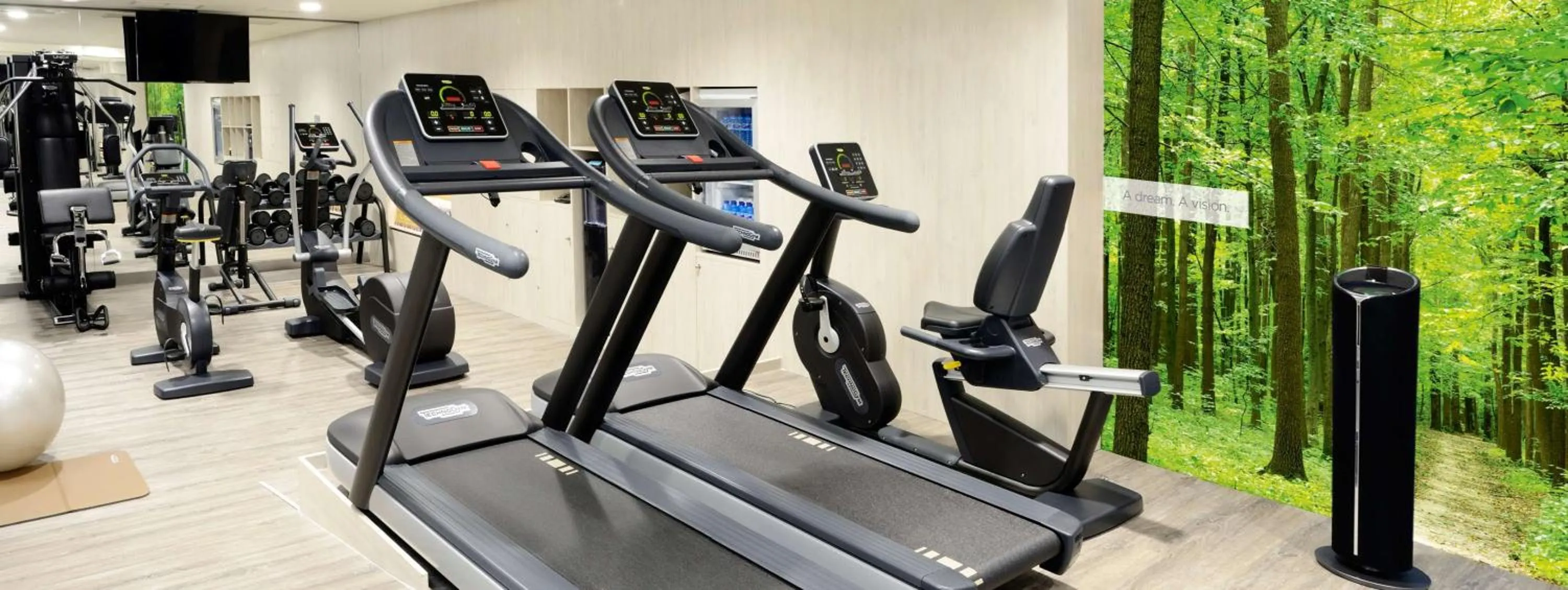 Spa and wellness centre/facilities in NH Madrid Zurbano