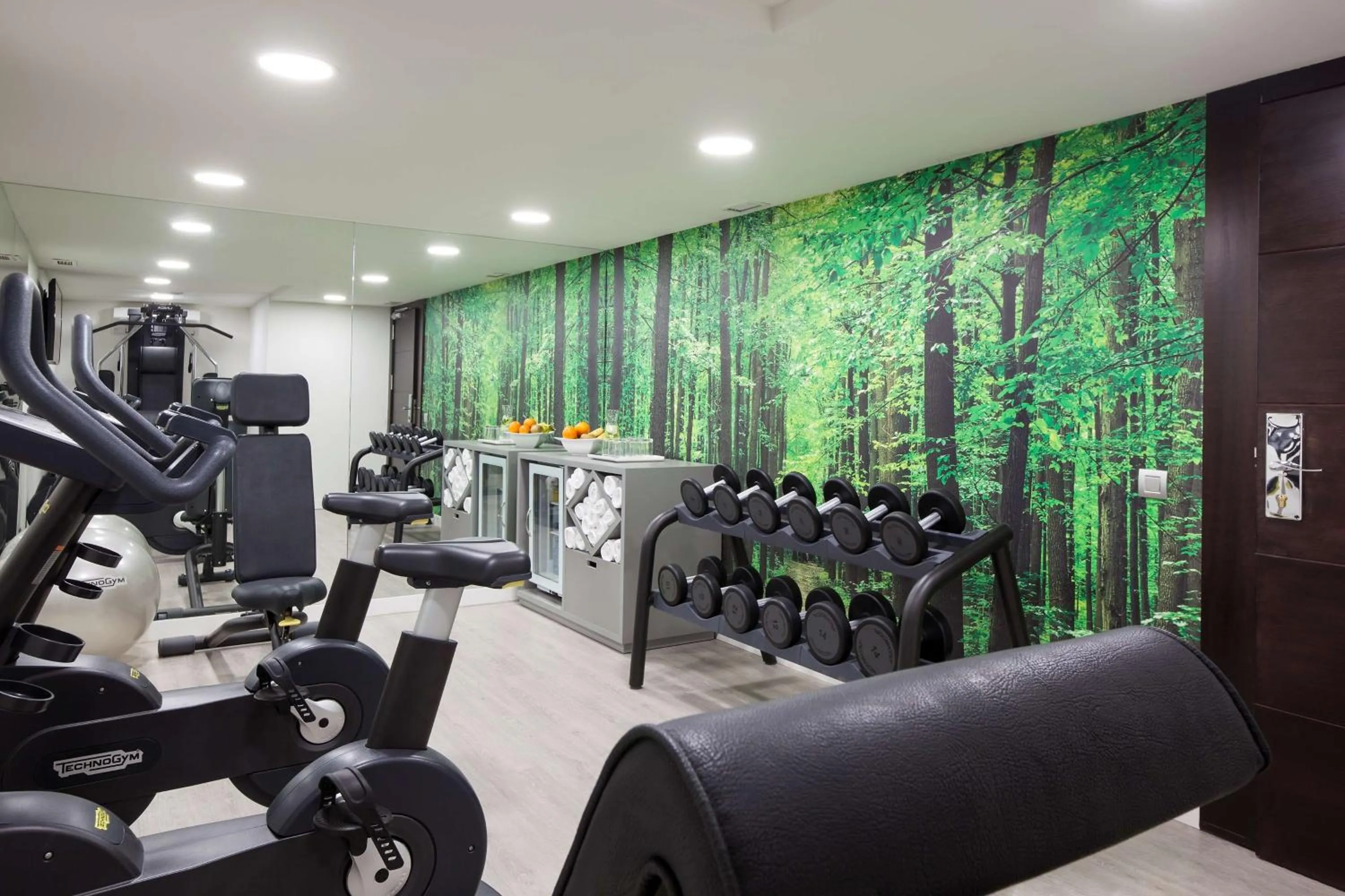 Fitness centre/facilities in NH Madrid Lagasca